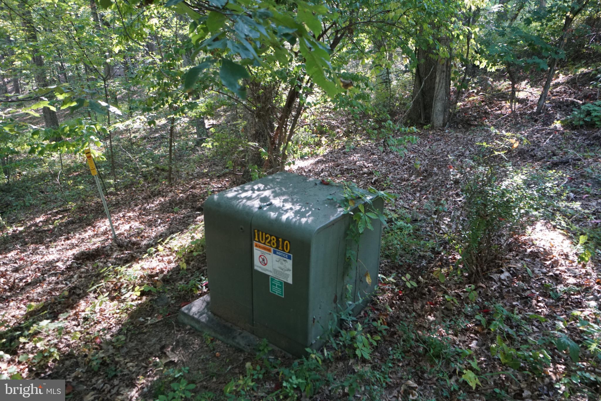 1537 Hidden Valley Road Franklin, WV 26807 - Photo 76 of 78 Utility box nestled in a serene woodland.