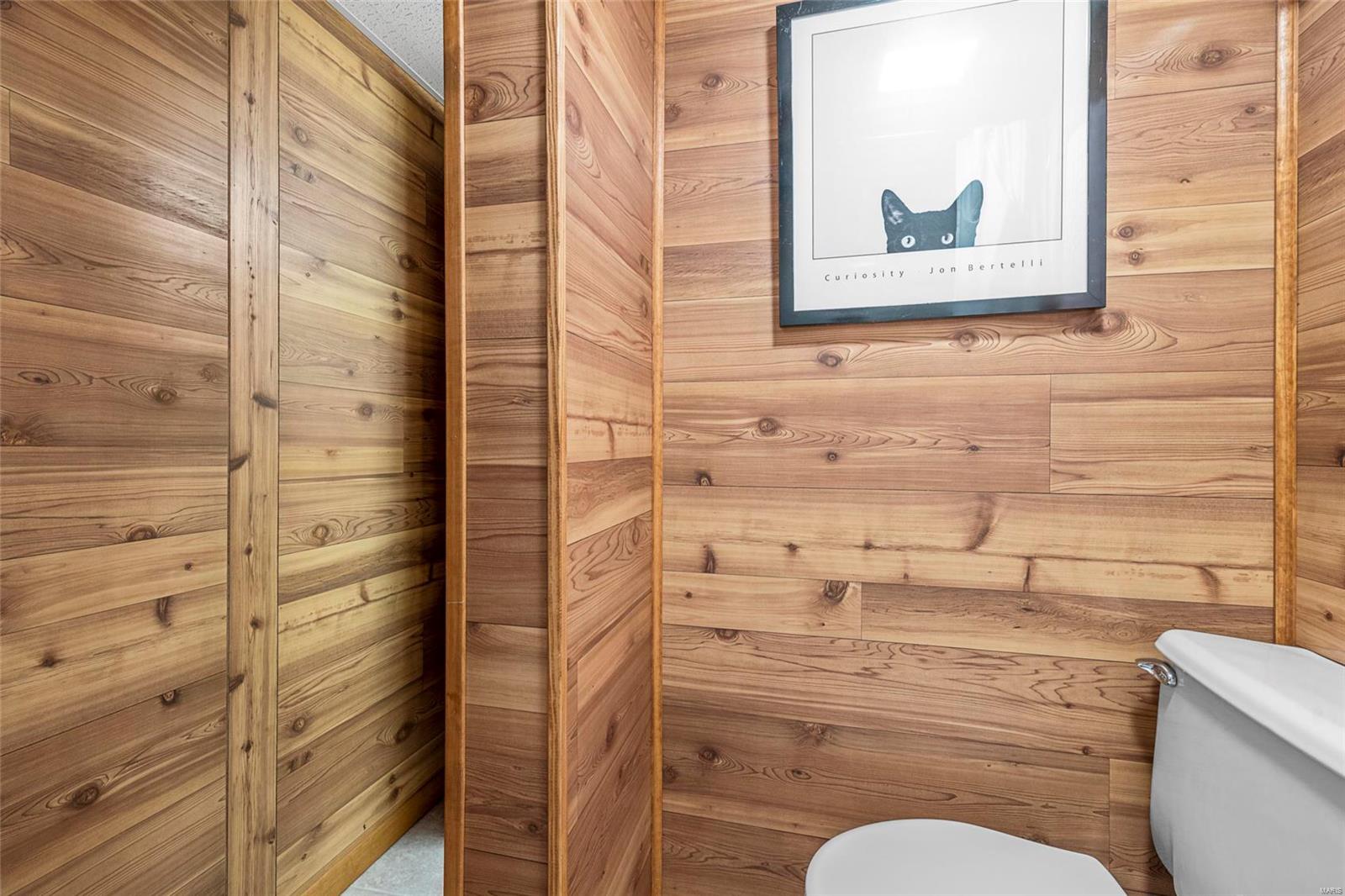 649 Leolia Drive Arnold, MO 63010 - Photo 18 of 22