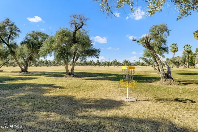 a view of a yard with swimming pool