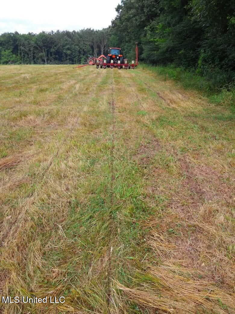 1201 Vfw Road Lake, MS 39092 - Photo 12 of 19 5008879196662437820