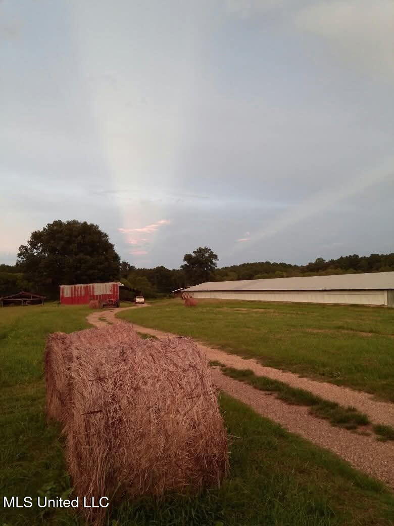 1201 Vfw Road Lake, MS 39092 - Photo 19 of 19 7997652250947550834