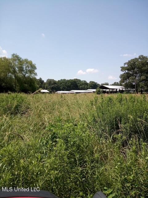 1201 Vfw Road Lake, MS 39092 - Photo 8 of 19 1826080261964238629