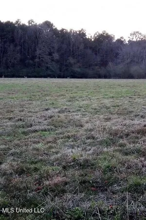 $147,000 | 1201 Vfw Road, Lake, MS 39092