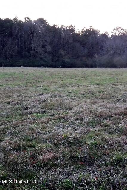 1201 Vfw Road Lake, MS 39092 - Photo 9 of 19 2376361331258144004