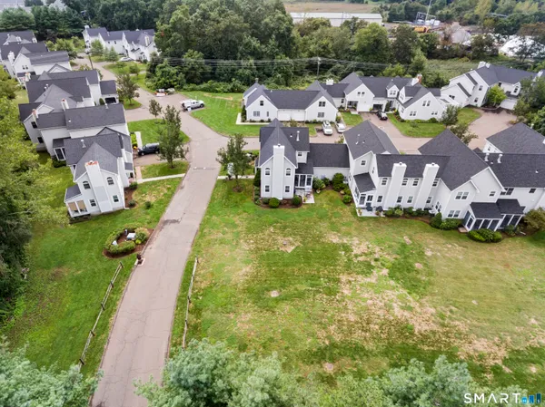 a view of a yard with plants