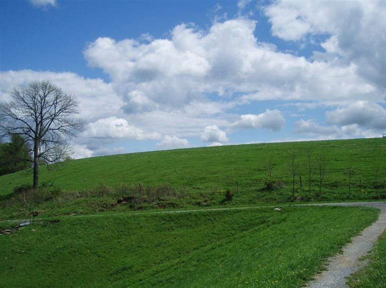 3075 Augusta-Dover Road Augusta, KY 41002 - Photo 23 of 26 Gallery Image 23