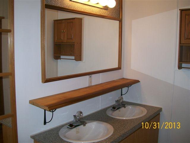 93 Twin Rocks Drive Ferrum, VA 24088 - Photo 9 of 13 Master Bath