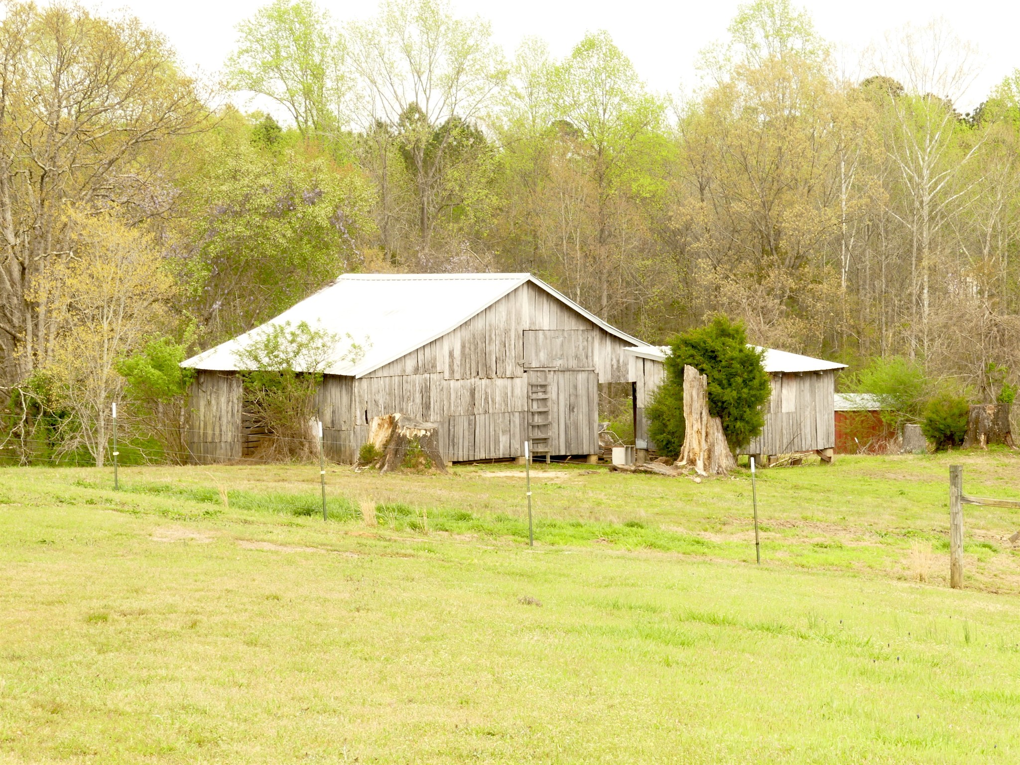 320 Circle Road Morris Chapel, TN 38361 - Photo 18 of 27 Gallery Image 18
