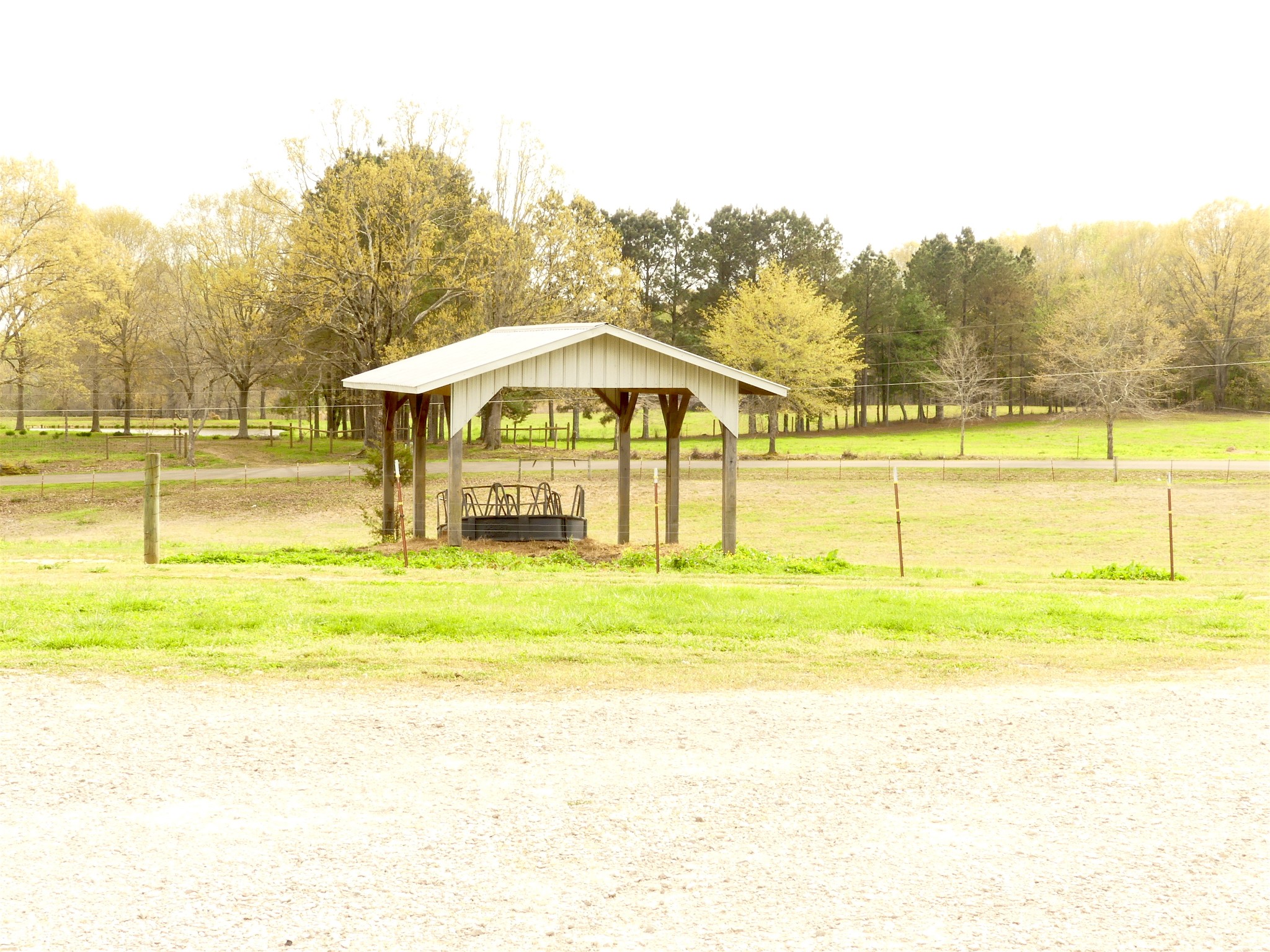 320 Circle Road Morris Chapel, TN 38361 - Photo 22 of 27 Gallery Image 22