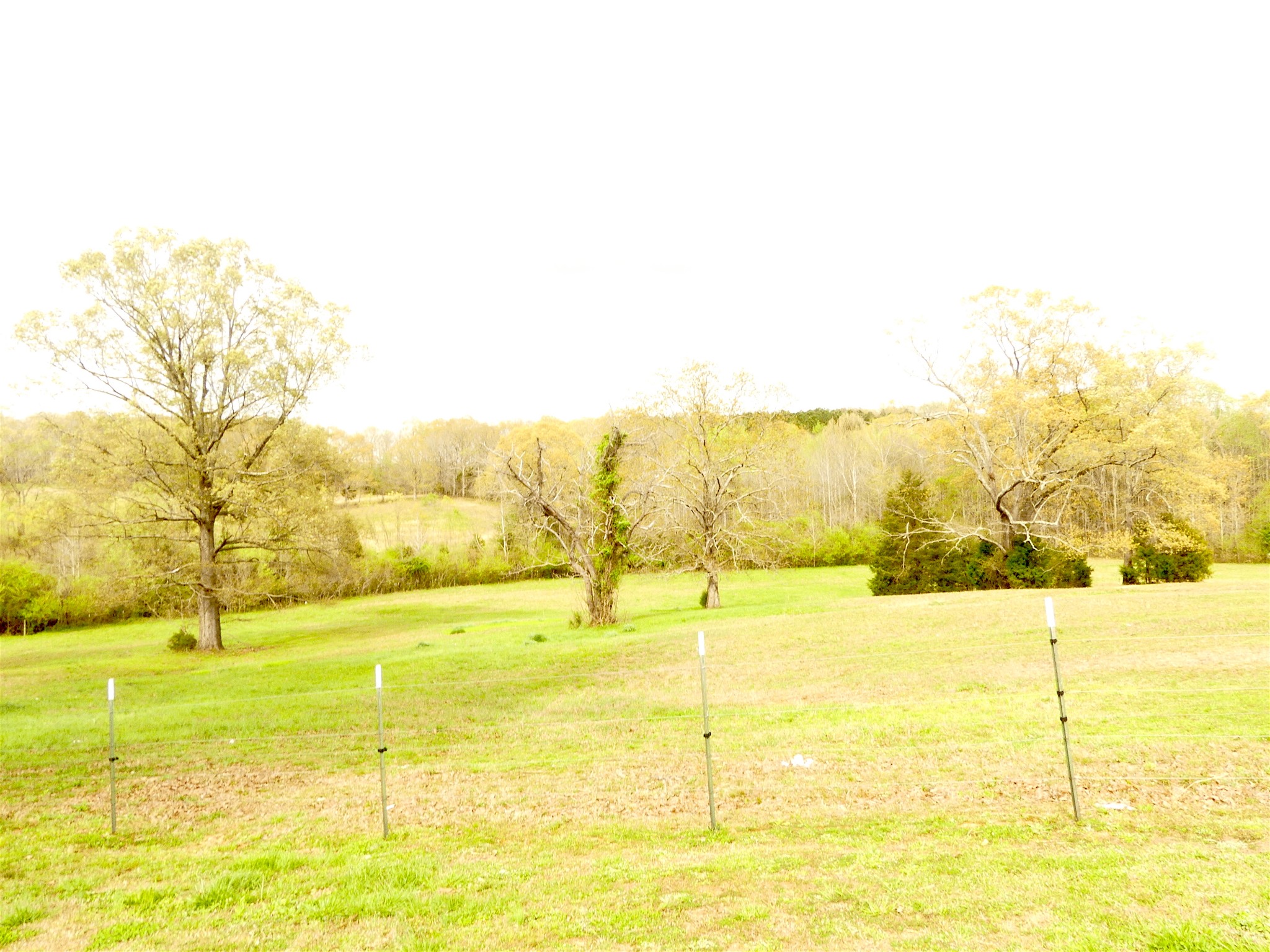 320 Circle Road Morris Chapel, TN 38361 - Photo 25 of 27 Gallery Image 25