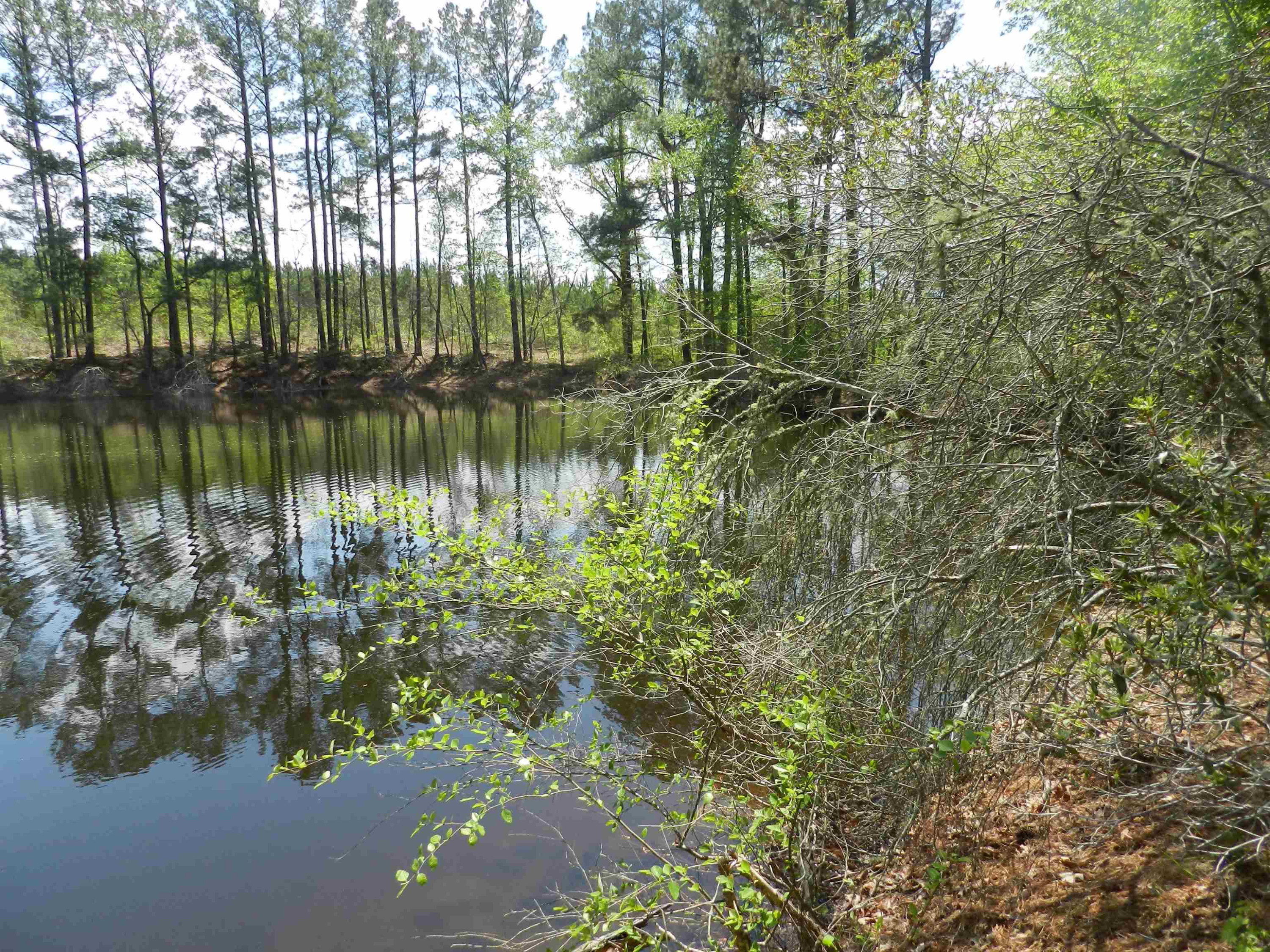 549 Warner Winn Road Kittrell, NC 27544 - Photo 1 of 7 Photo 1
