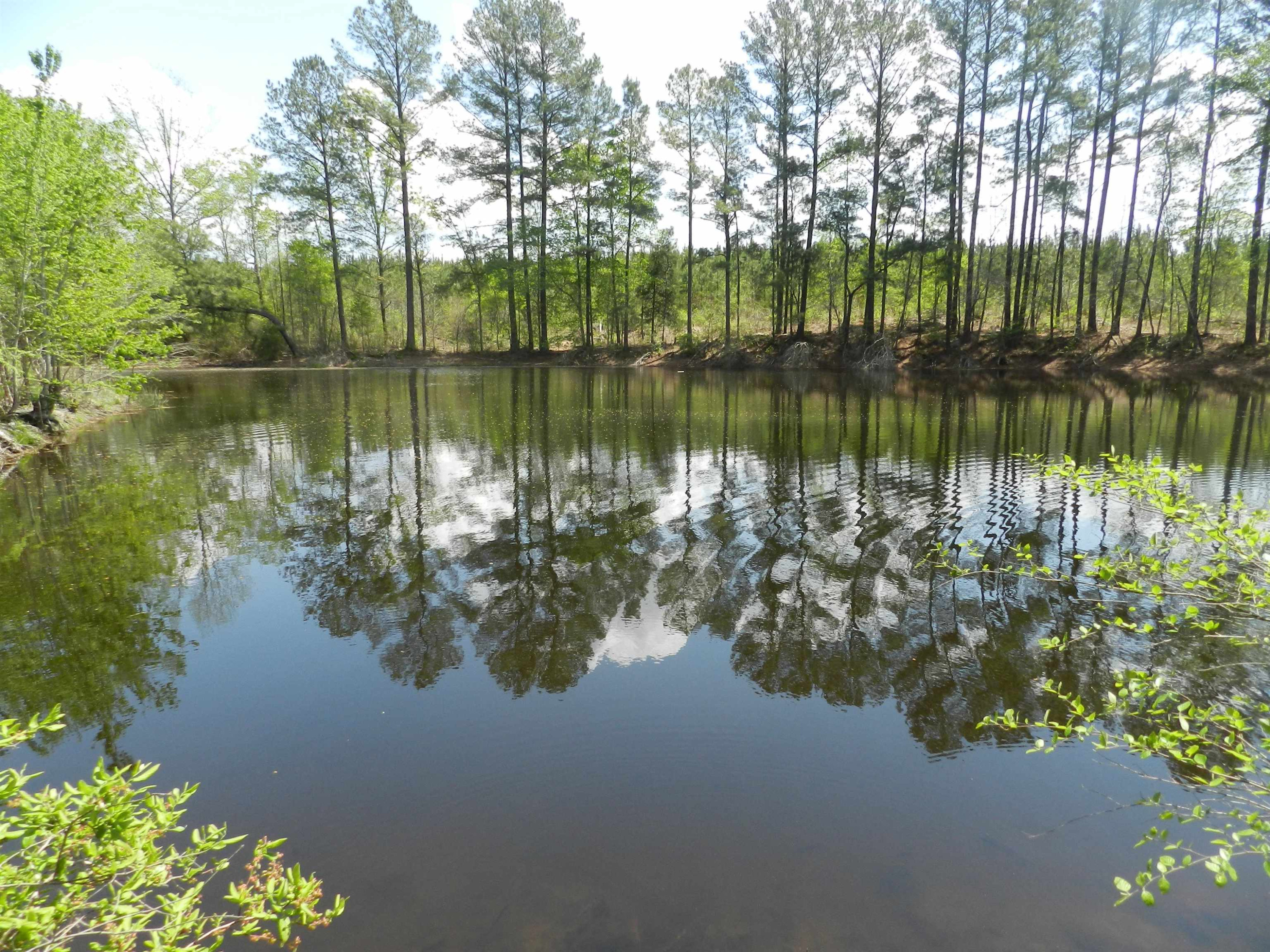 549 Warner Winn Road Kittrell, NC 27544 - Photo 2 of 7 Photo 2