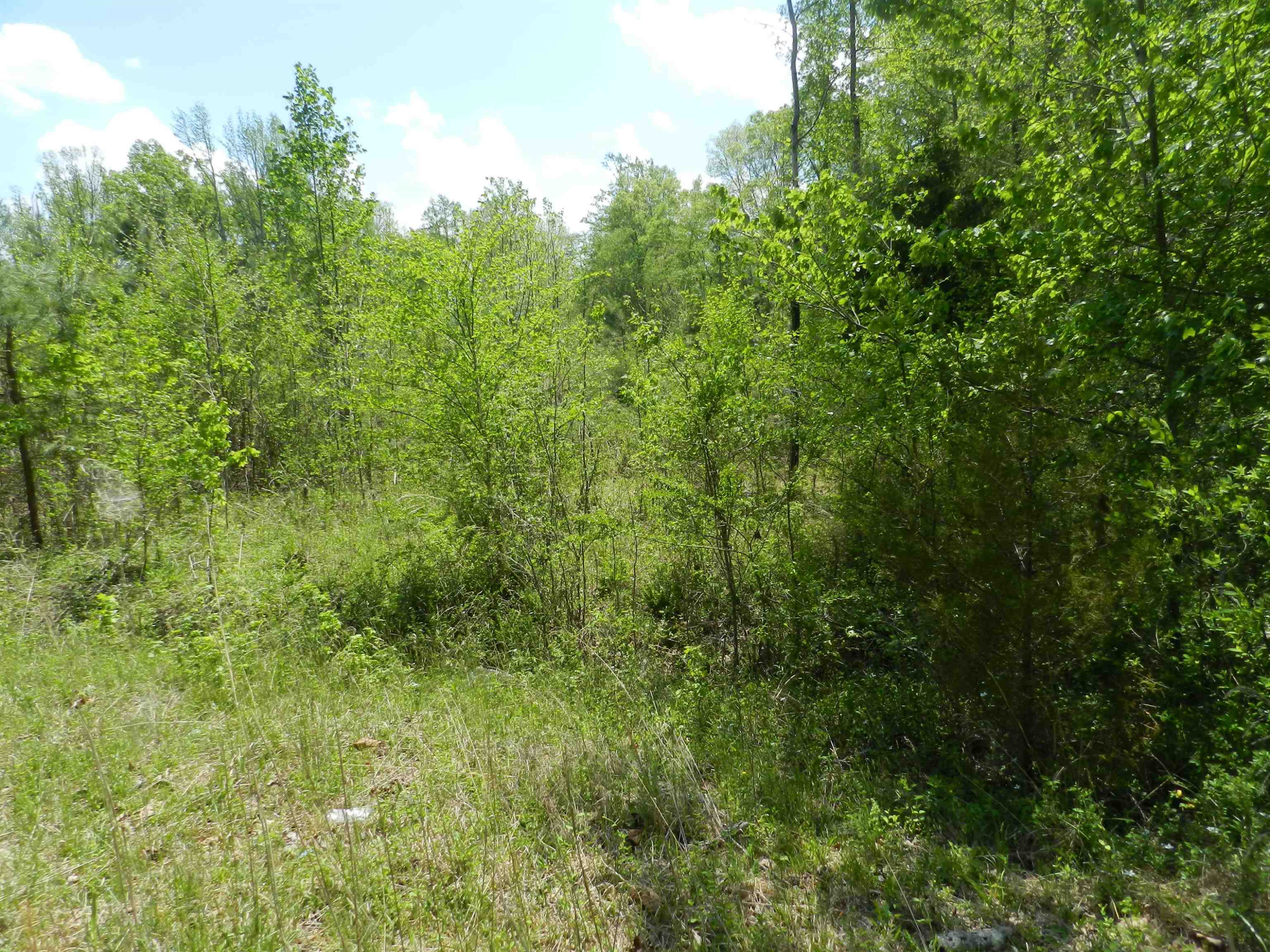 549 Warner Winn Road Kittrell, NC 27544 - Photo 3 of 7 Photo 3