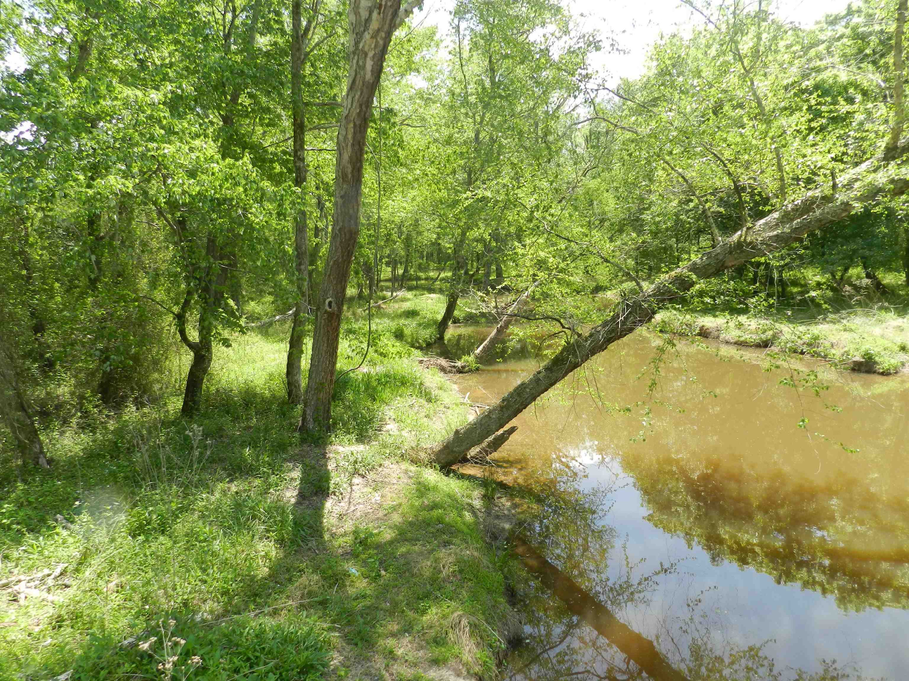 549 Warner Winn Road Kittrell, NC 27544 - Photo 7 of 7 Photo 7