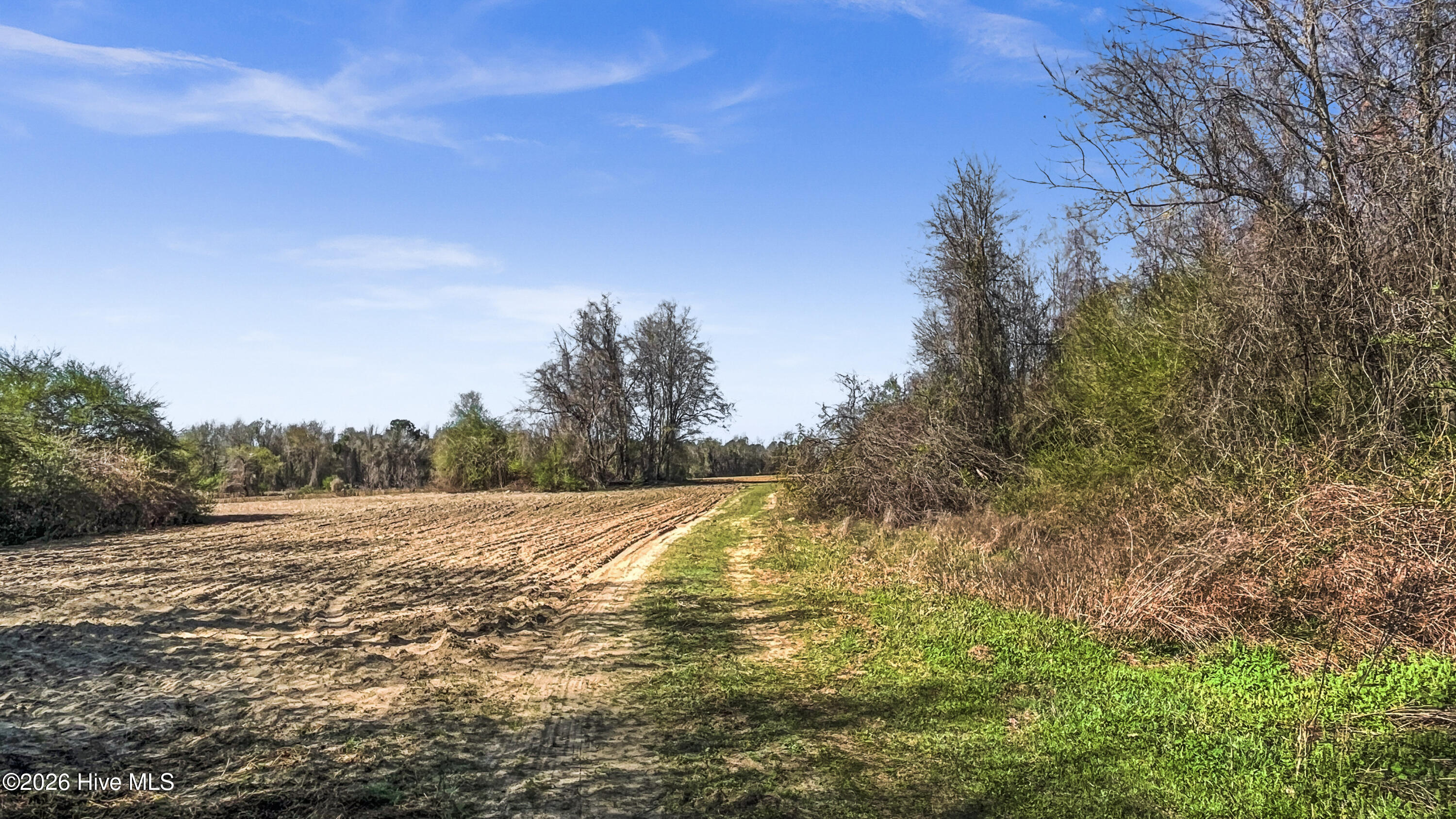 0 Graham Dobson Road Magnolia, NC 28453 - Photo 12 of 43 21-IMG_7950