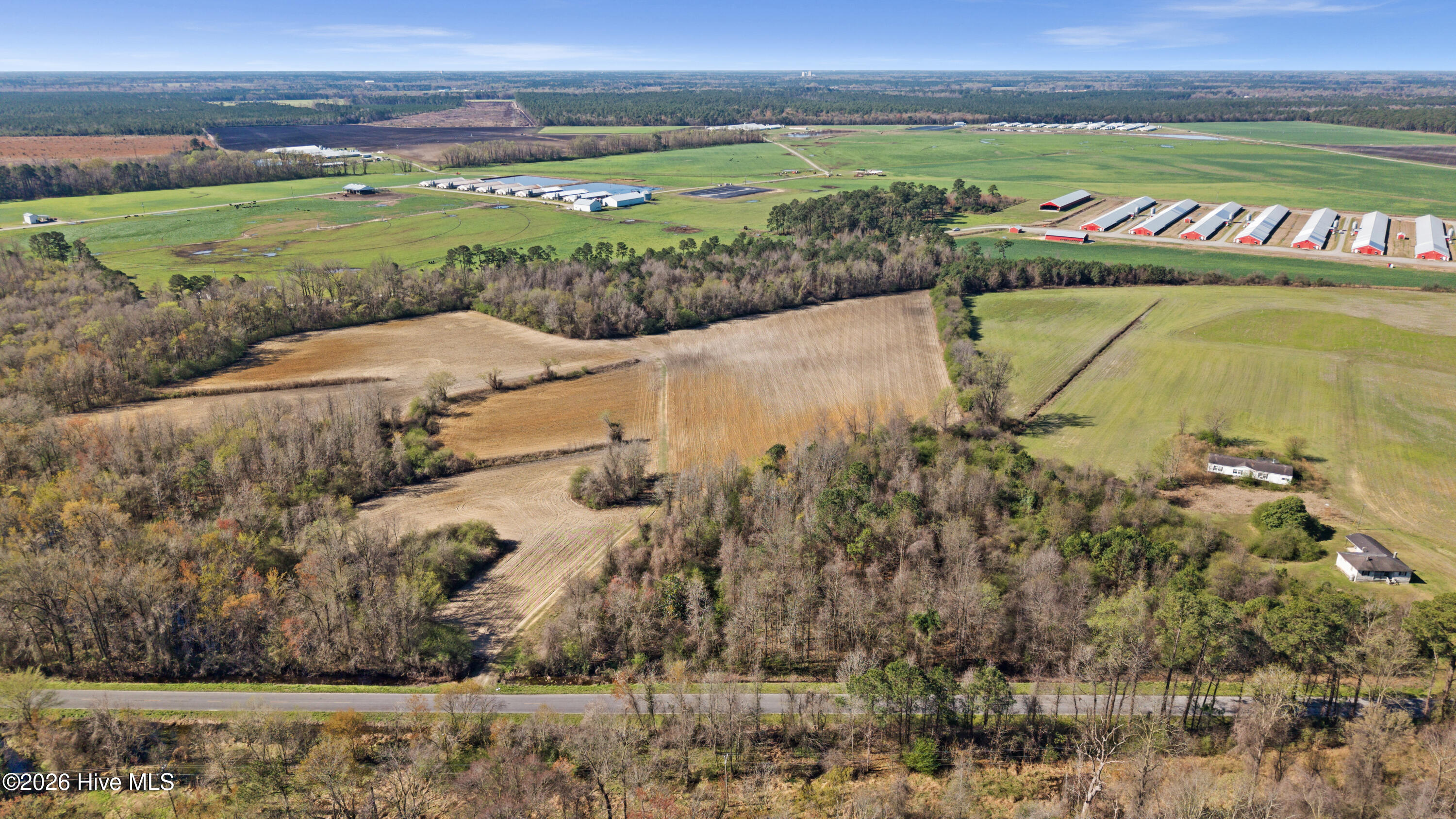 0 Graham Dobson Road Magnolia, NC 28453 - Photo 13 of 43 1-DJI_20260313110619_0078_D