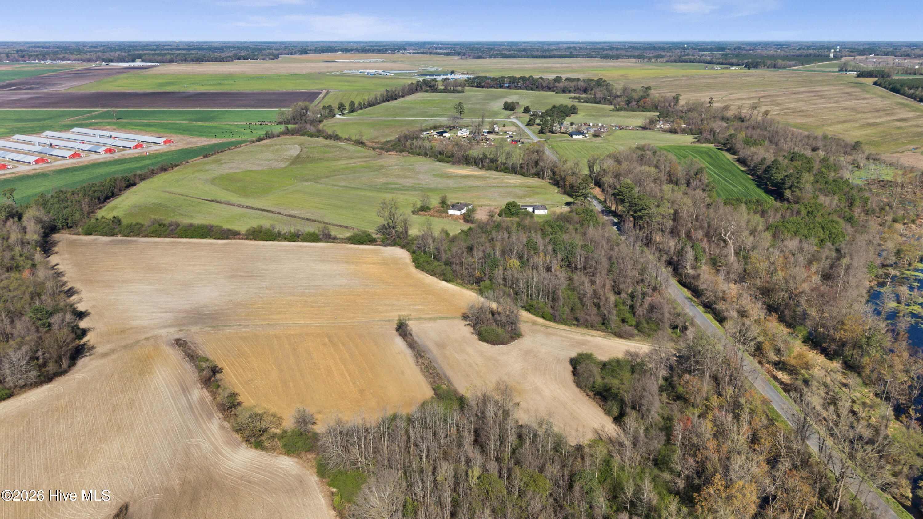0 Graham Dobson Road Magnolia, NC 28453 - Photo 14 of 43 3-DJI_20260313110659_0081_D