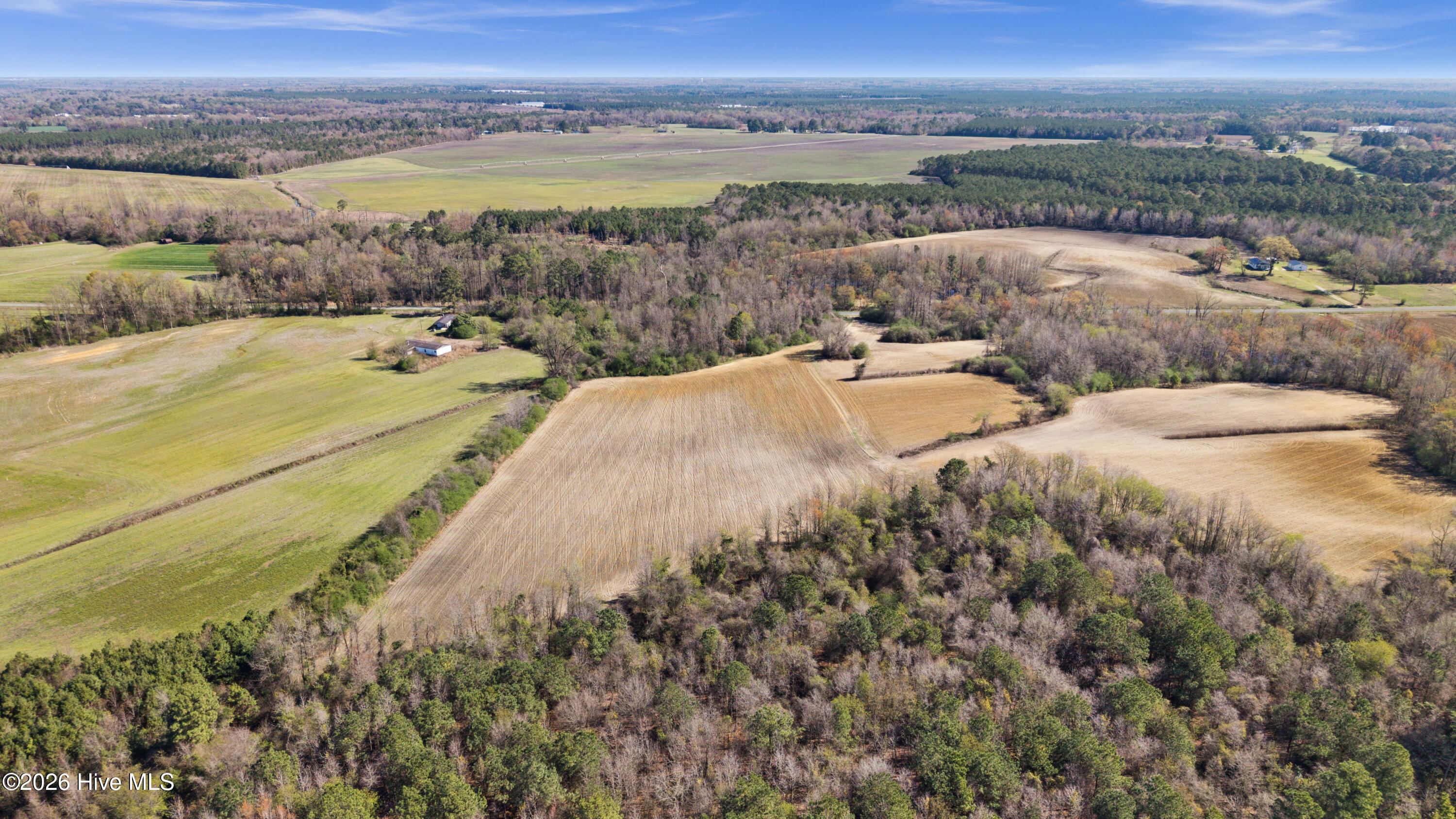 0 Graham Dobson Road Magnolia, NC 28453 - Photo 16 of 43 5-DJI_20260313110752_0084_D