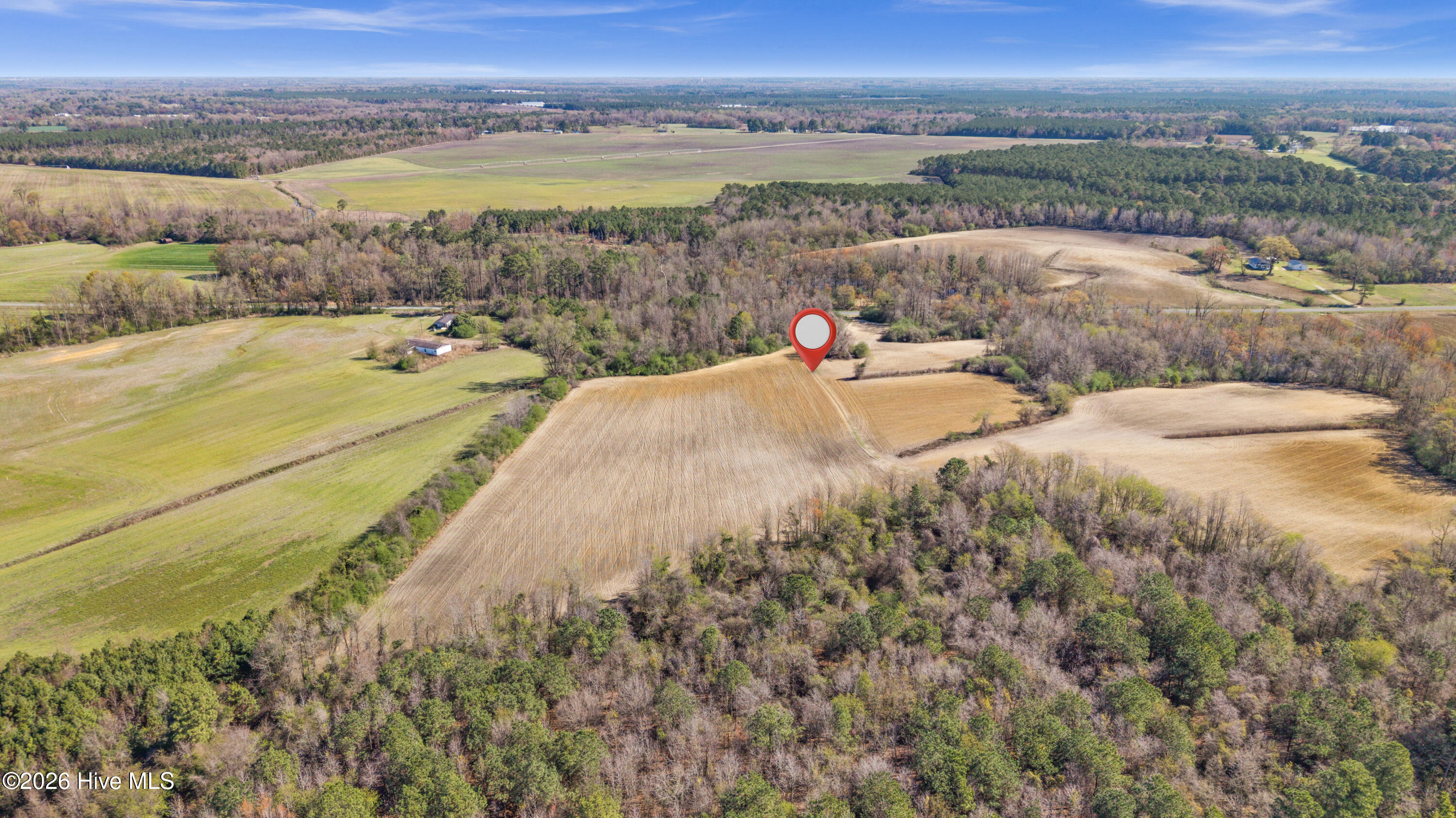 0 Graham Dobson Road Magnolia, NC 28453 - Photo 17 of 43 6-DJI_20260313110752_0084_D-Edit