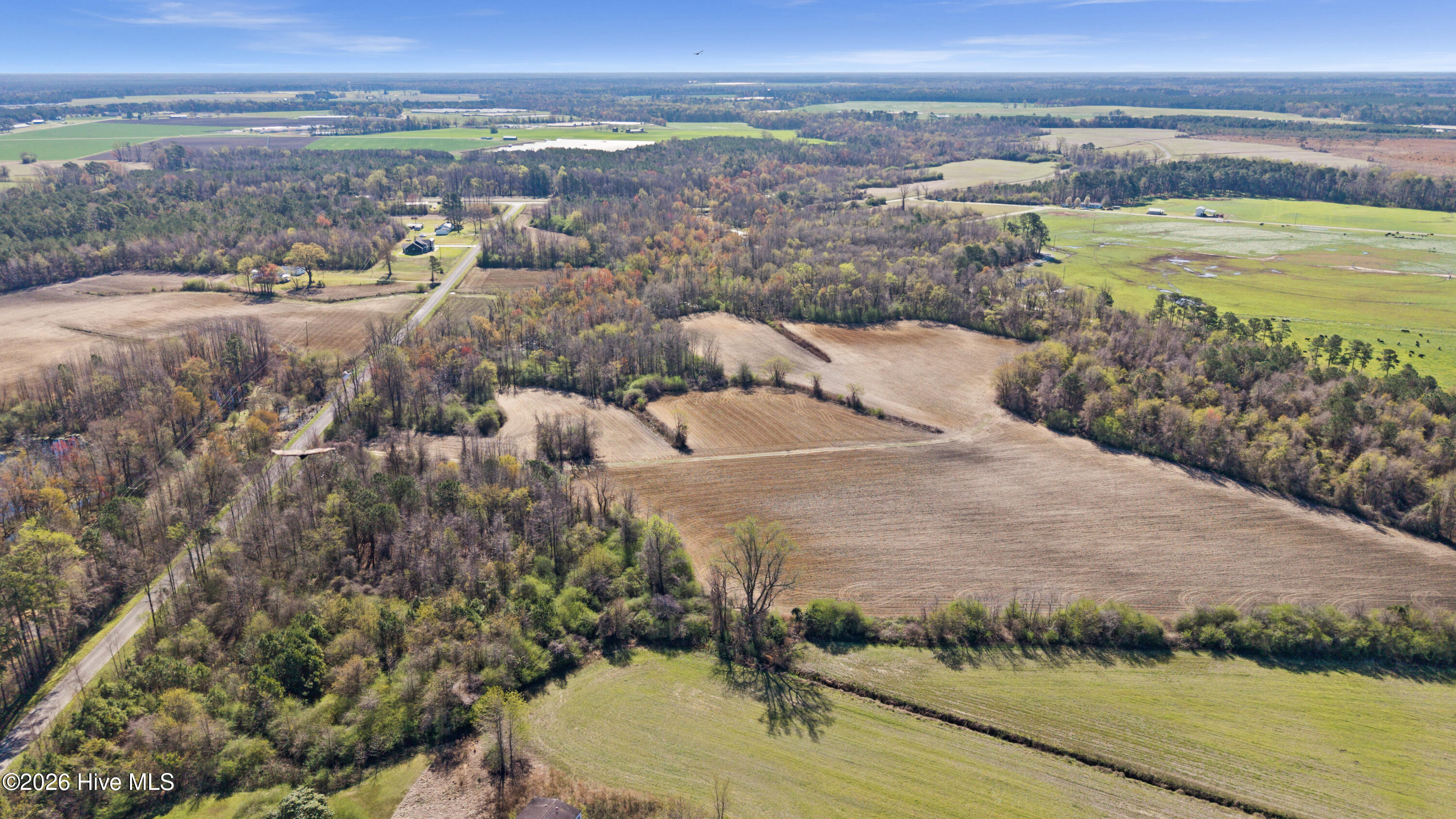 0 Graham Dobson Road Magnolia, NC 28453 - Photo 18 of 43 7-DJI_20260313110858_0087_D