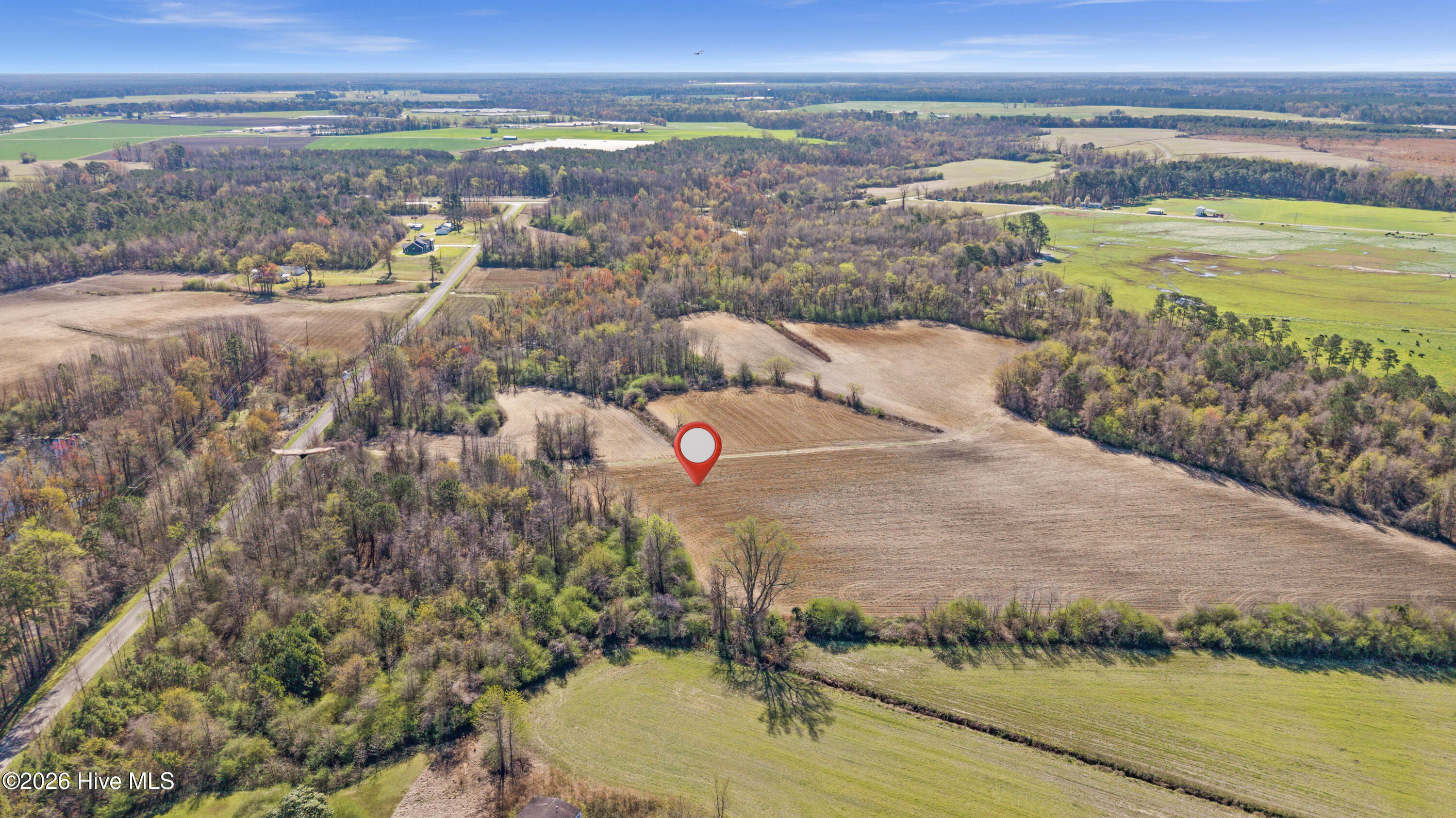 0 Graham Dobson Road Magnolia, NC 28453 - Photo 19 of 43 8-DJI_20260313110858_0087_D-Edit