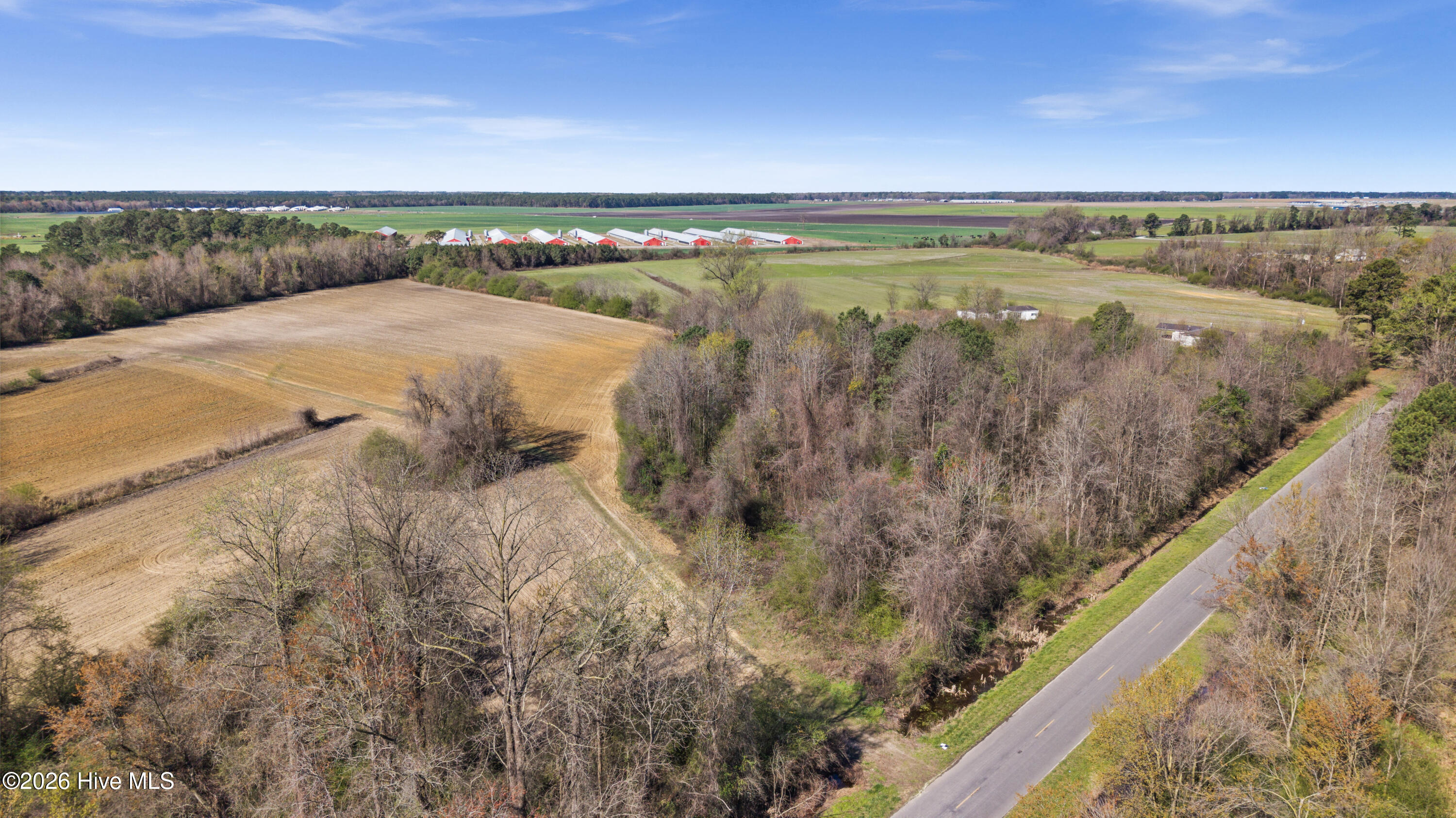 0 Graham Dobson Road Magnolia, NC 28453 - Photo 22 of 43 11-DJI_20260313111221_0096_D