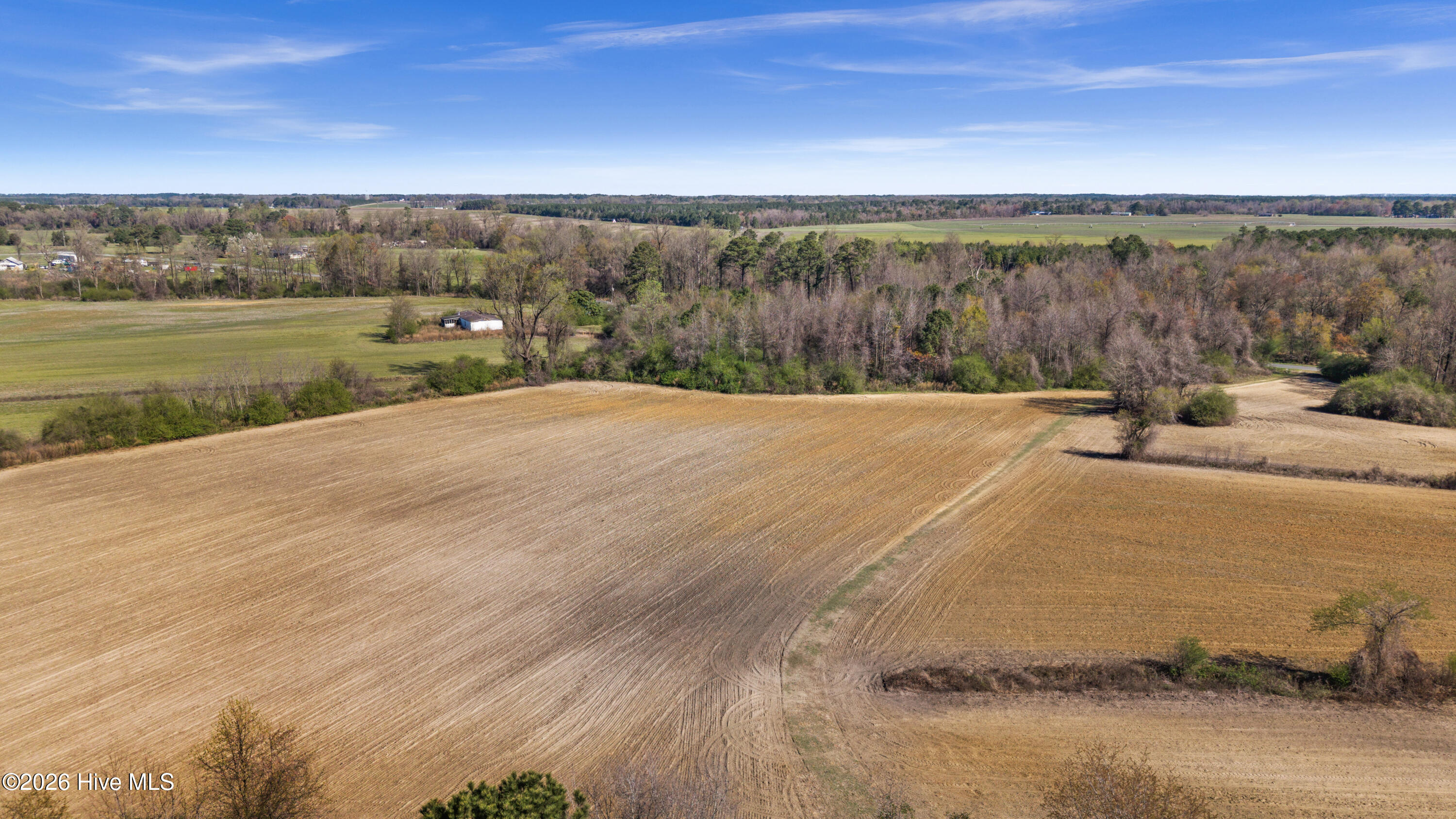 0 Graham Dobson Road Magnolia, NC 28453 - Photo 23 of 43 13-DJI_20260313111329_0099_D