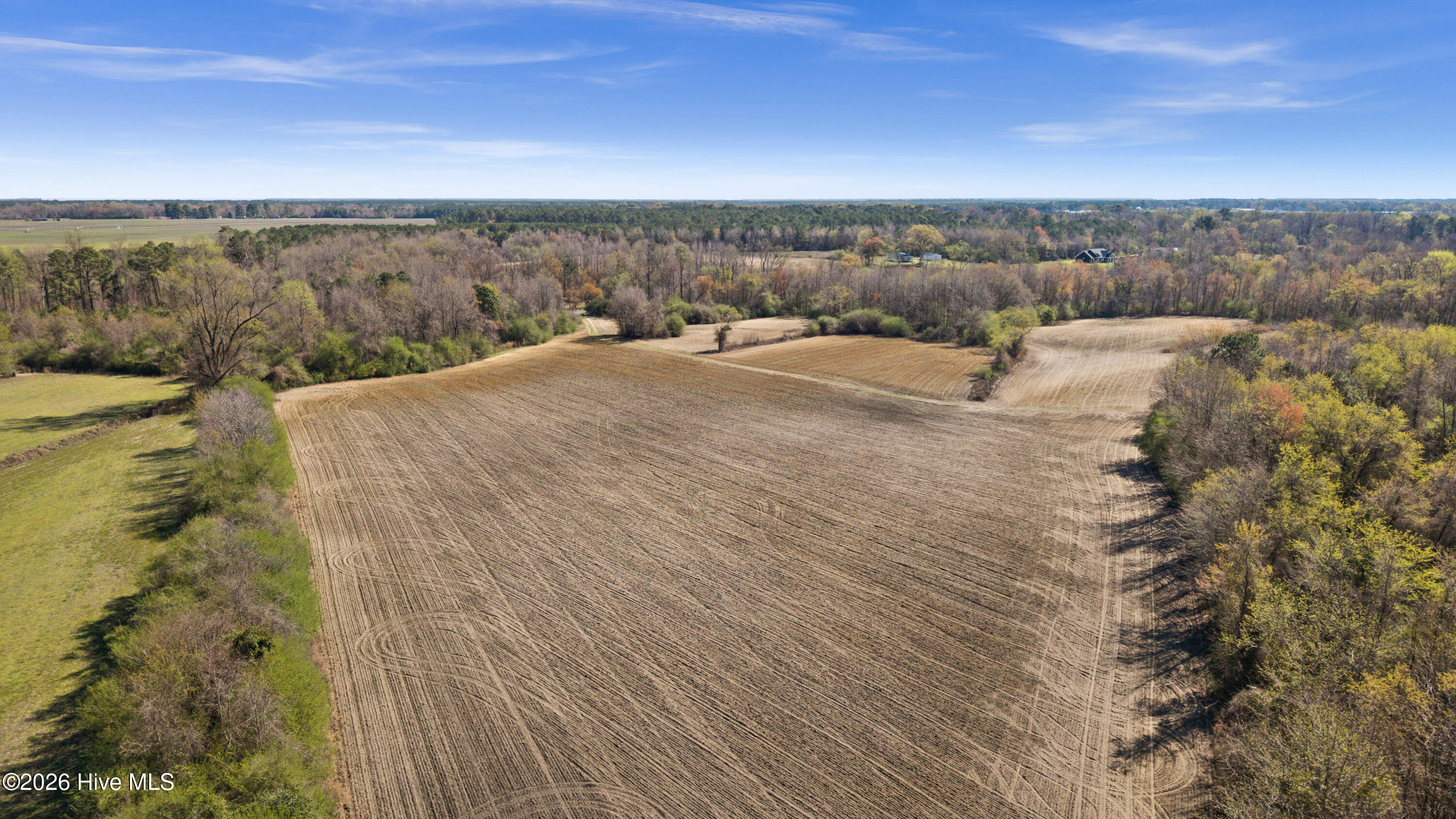 0 Graham Dobson Road Magnolia, NC 28453 - Photo 24 of 43 14-DJI_20260313111403_0102_D