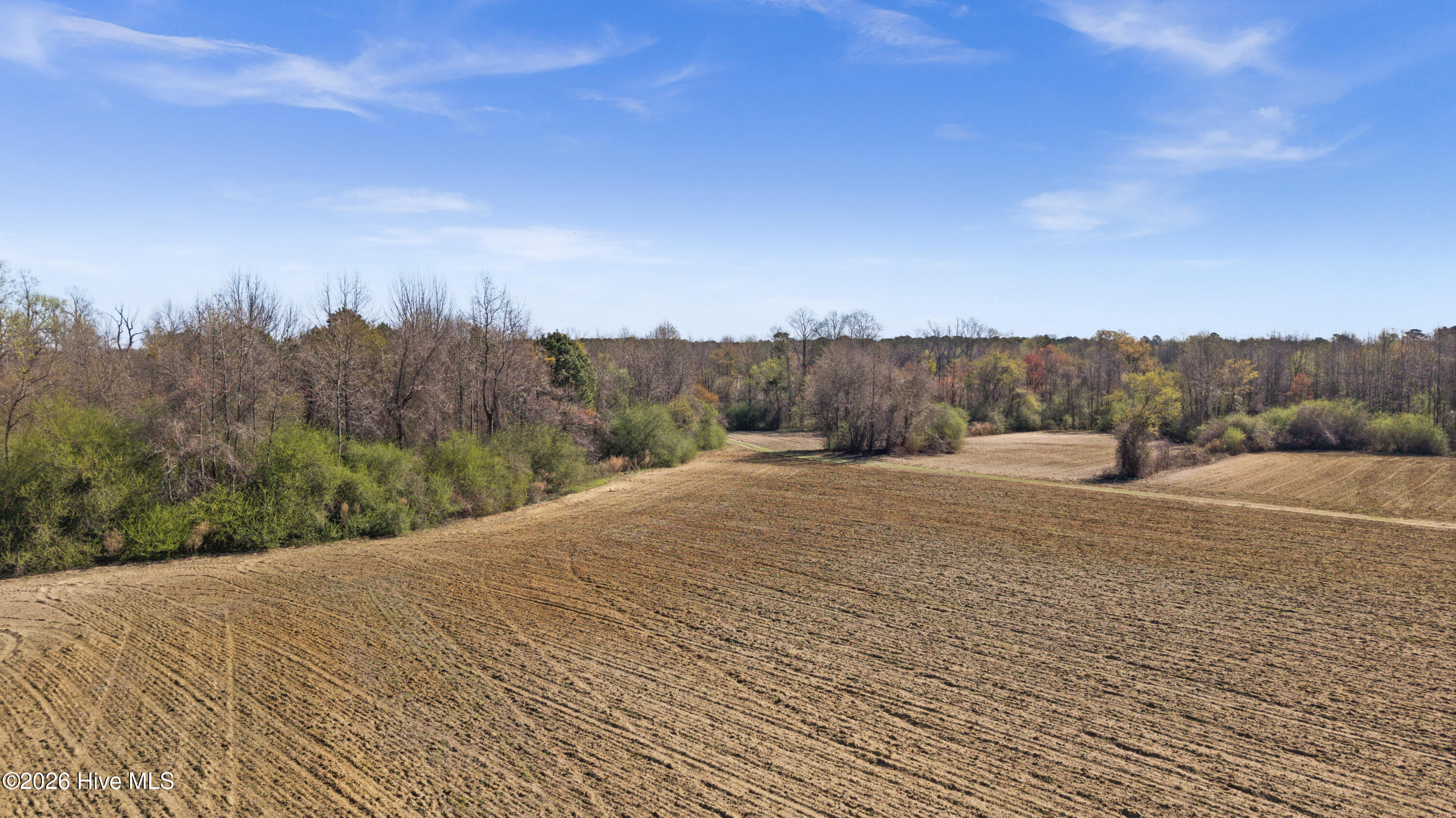 0 Graham Dobson Road Magnolia, NC 28453 - Photo 25 of 43 15-DJI_20260313111426_0105_D