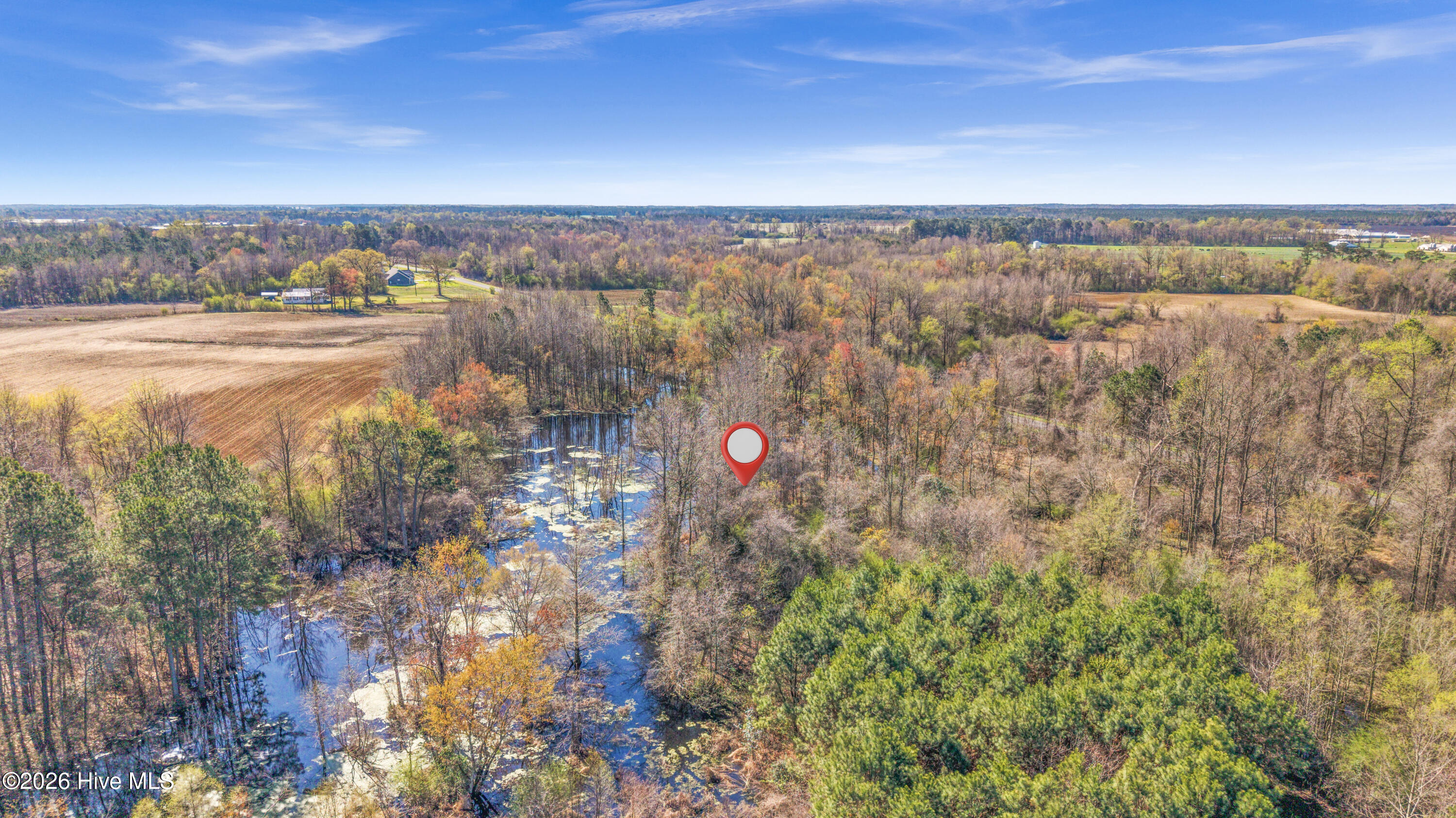 0 Graham Dobson Road Magnolia, NC 28453 - Photo 26 of 43 16-DJI_20260313110338_0072_D-Edit