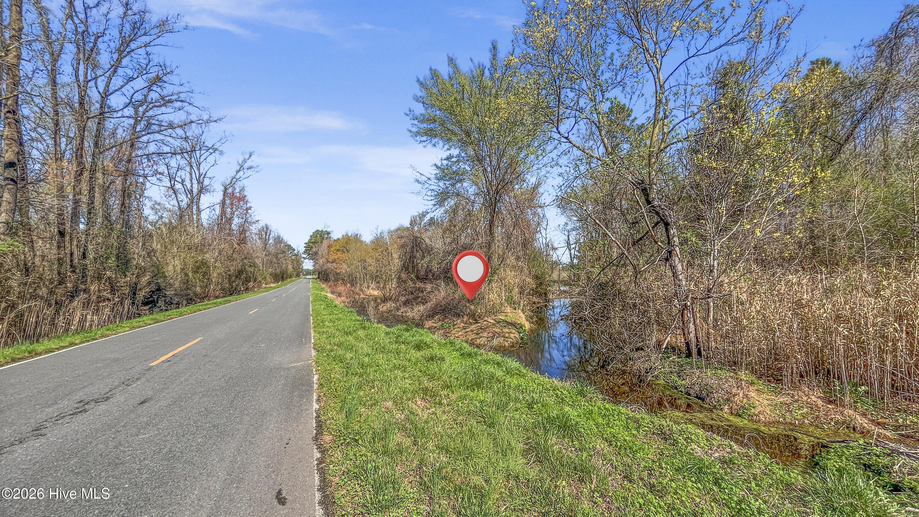 0 Graham Dobson Road Magnolia, NC 28453 - Photo 29 of 43 19-IMG_7946-Edit