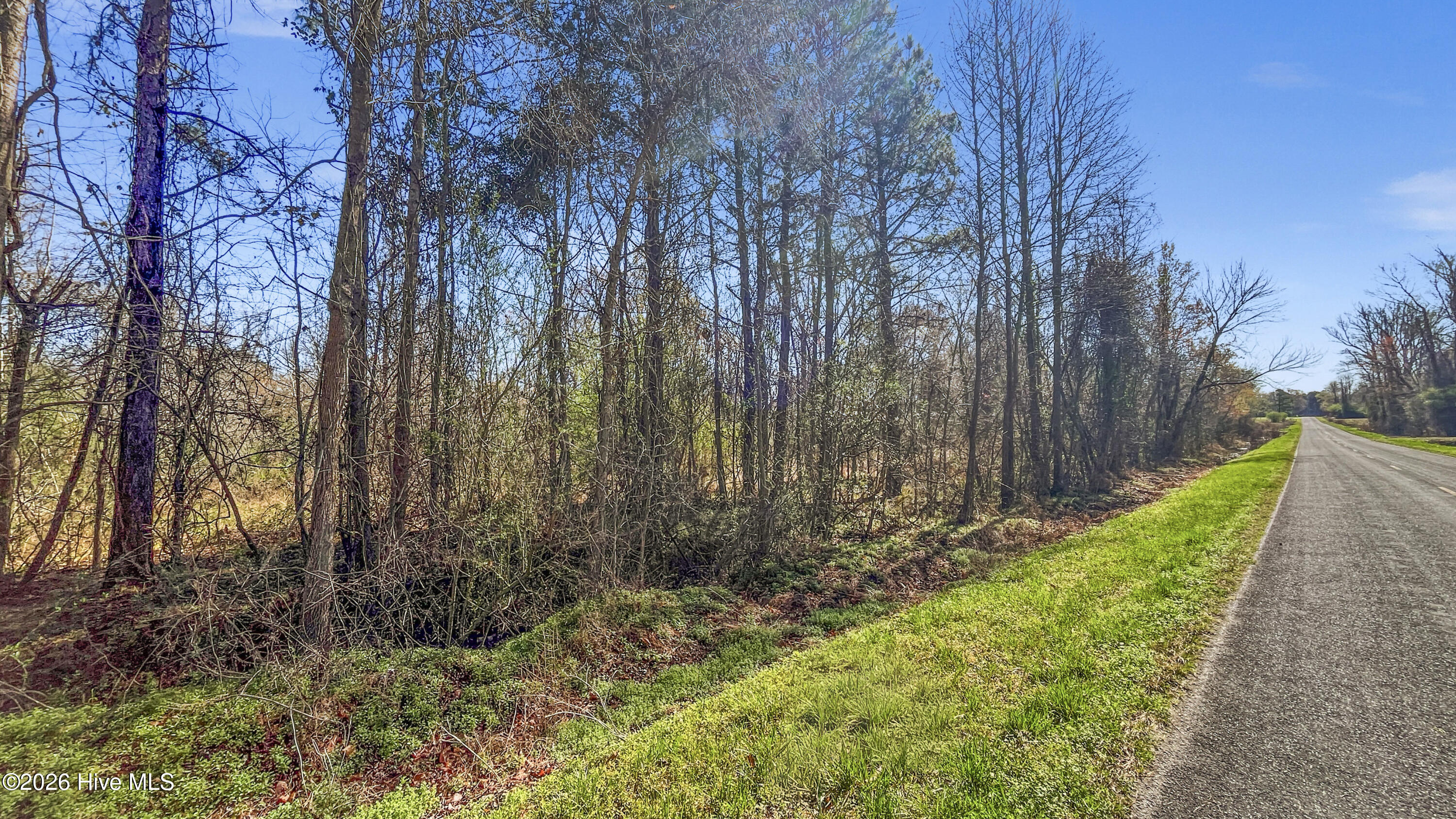 0 Graham Dobson Road Magnolia, NC 28453 - Photo 30 of 43 20-IMG_7947