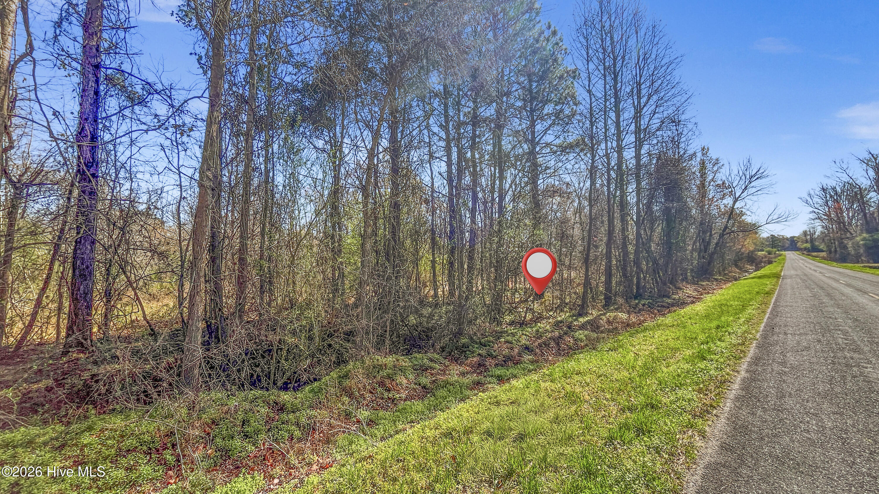 0 Graham Dobson Road Magnolia, NC 28453 - Photo 31 of 43 21-IMG_7947-Edit