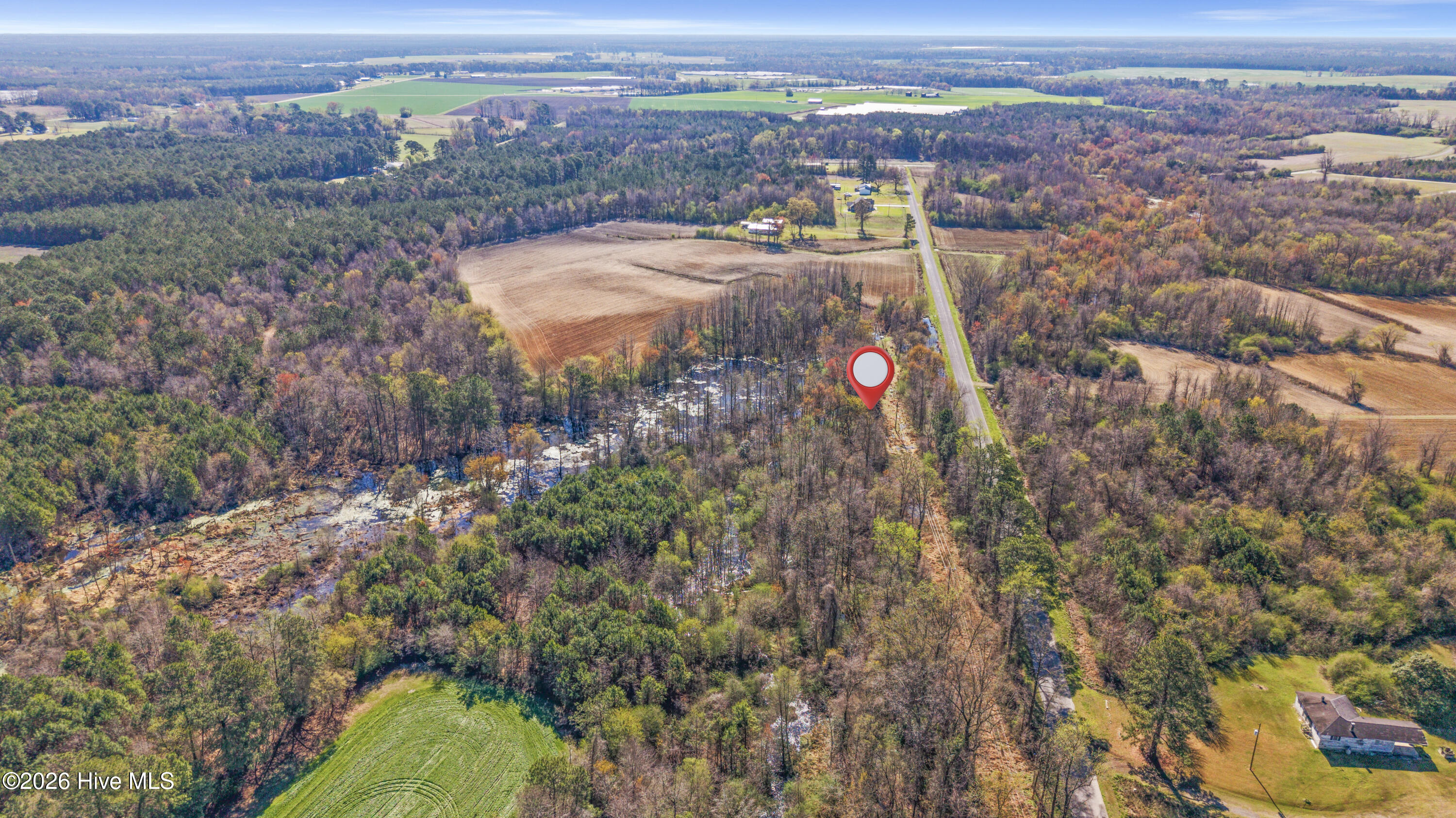 0 Graham Dobson Road Magnolia, NC 28453 - Photo 32 of 43 4-DJI_20260313105604_0051_D-Edit