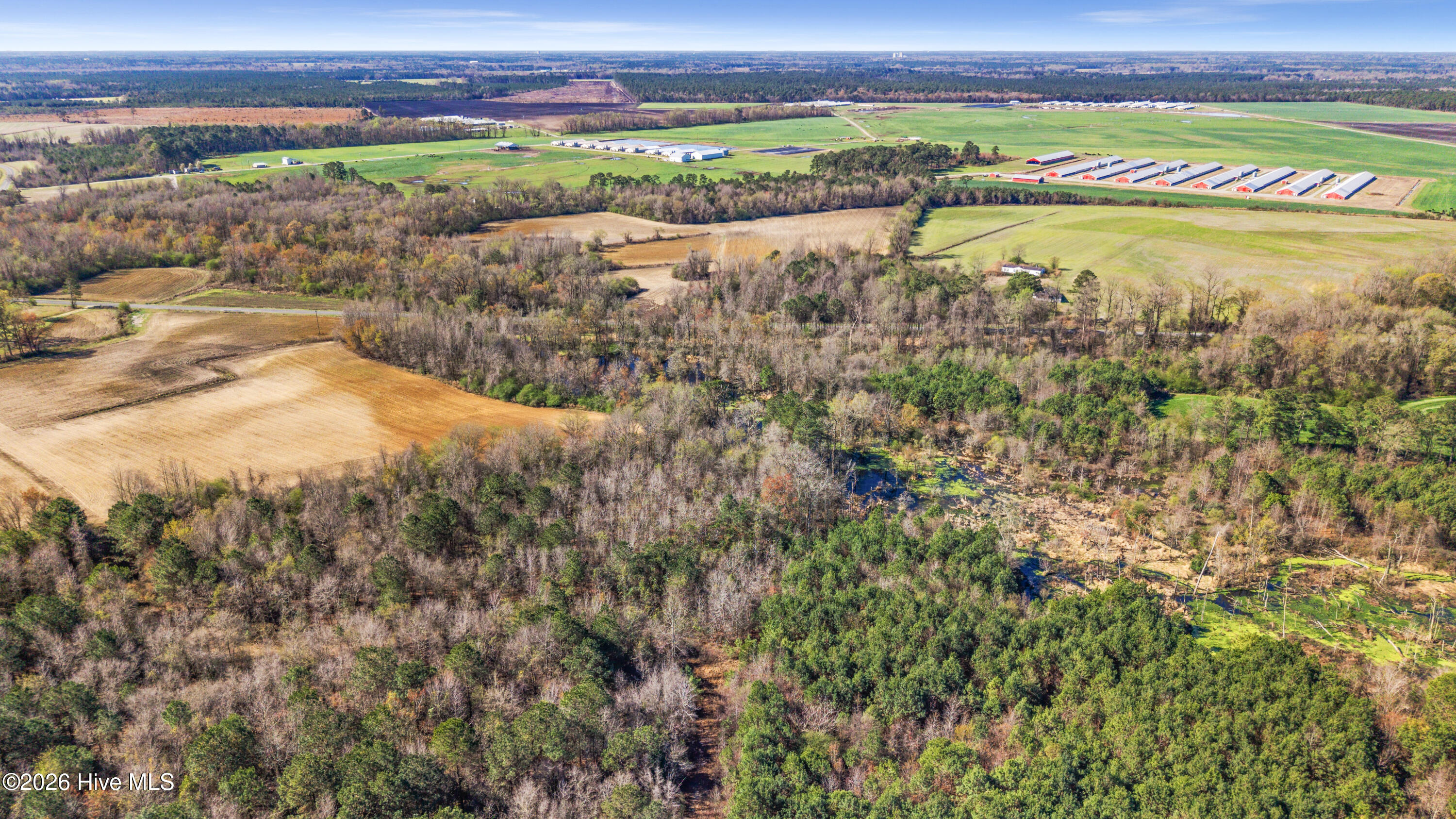 0 Graham Dobson Road Magnolia, NC 28453 - Photo 33 of 43 5-DJI_20260313105719_0054_D