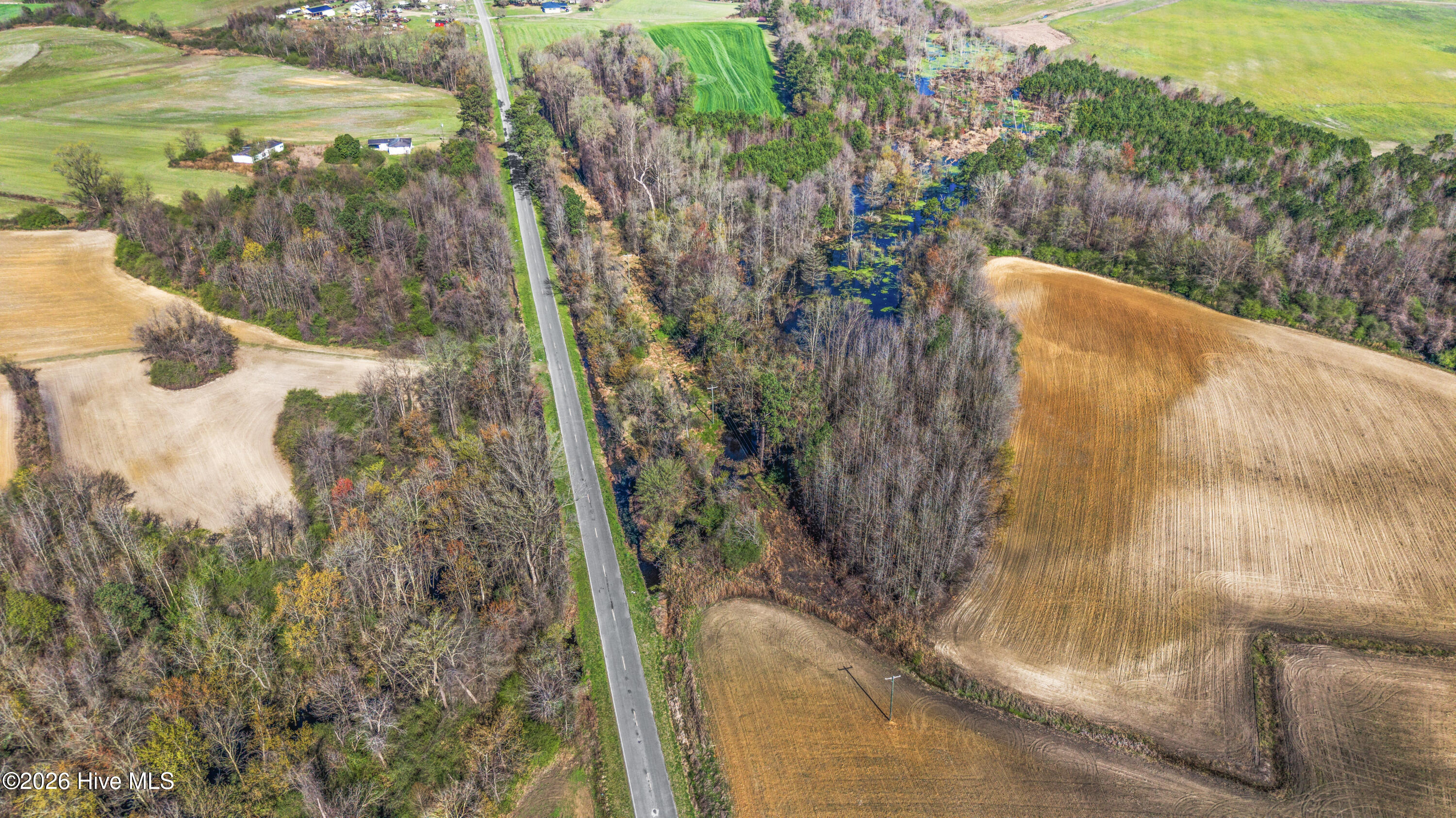 0 Graham Dobson Road Magnolia, NC 28453 - Photo 36 of 43 9-DJI_20260313105938_0060_D