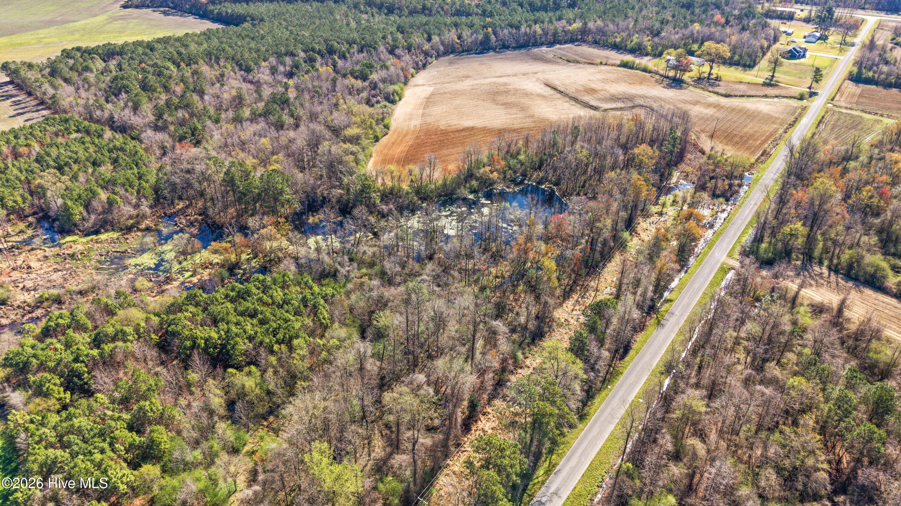0 Graham Dobson Road Magnolia, NC 28453 - Photo 37 of 43 10-DJI_20260313110044_0063_D