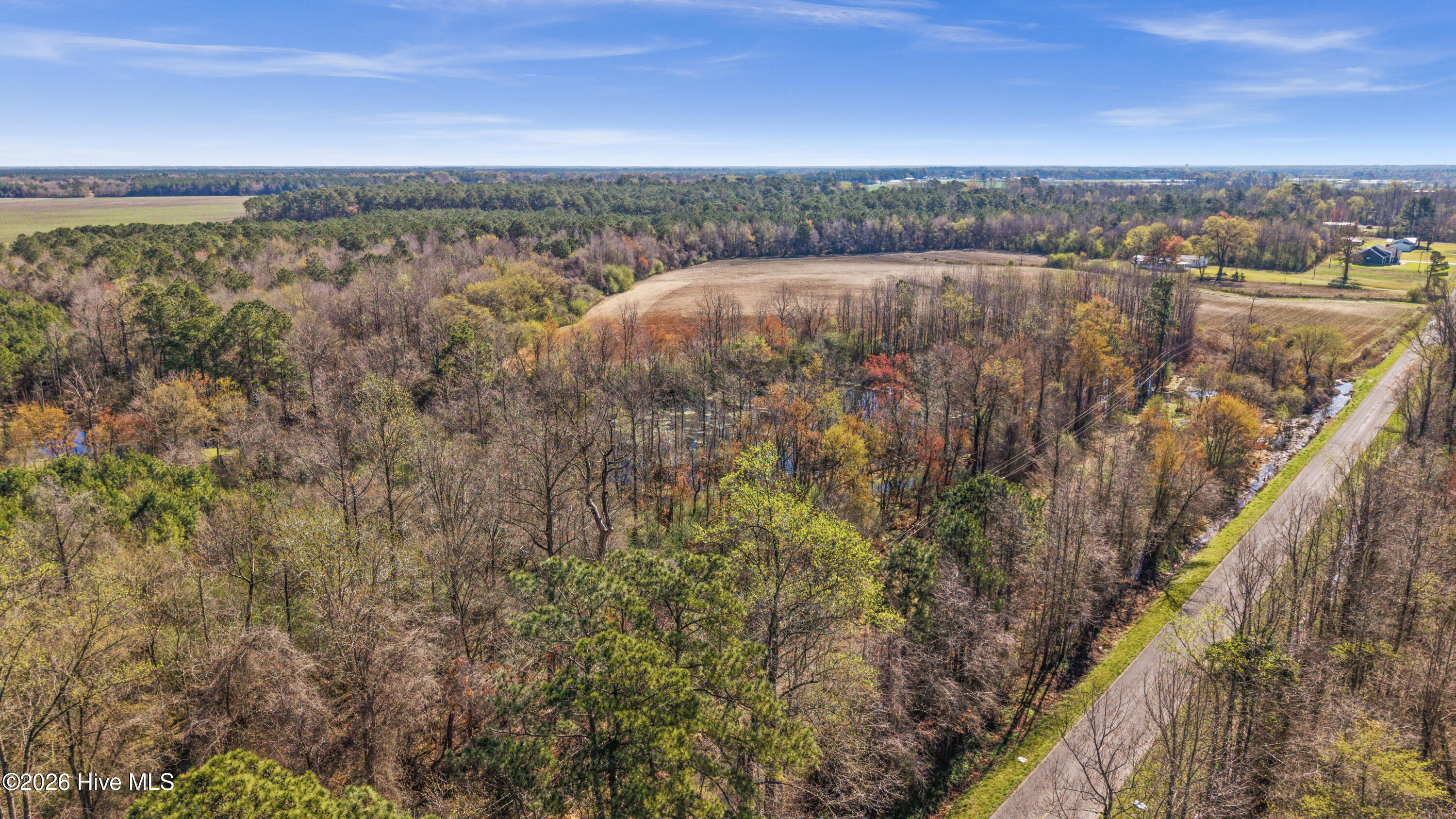 0 Graham Dobson Road Magnolia, NC 28453 - Photo 40 of 43 14-DJI_20260313110255_0069_D