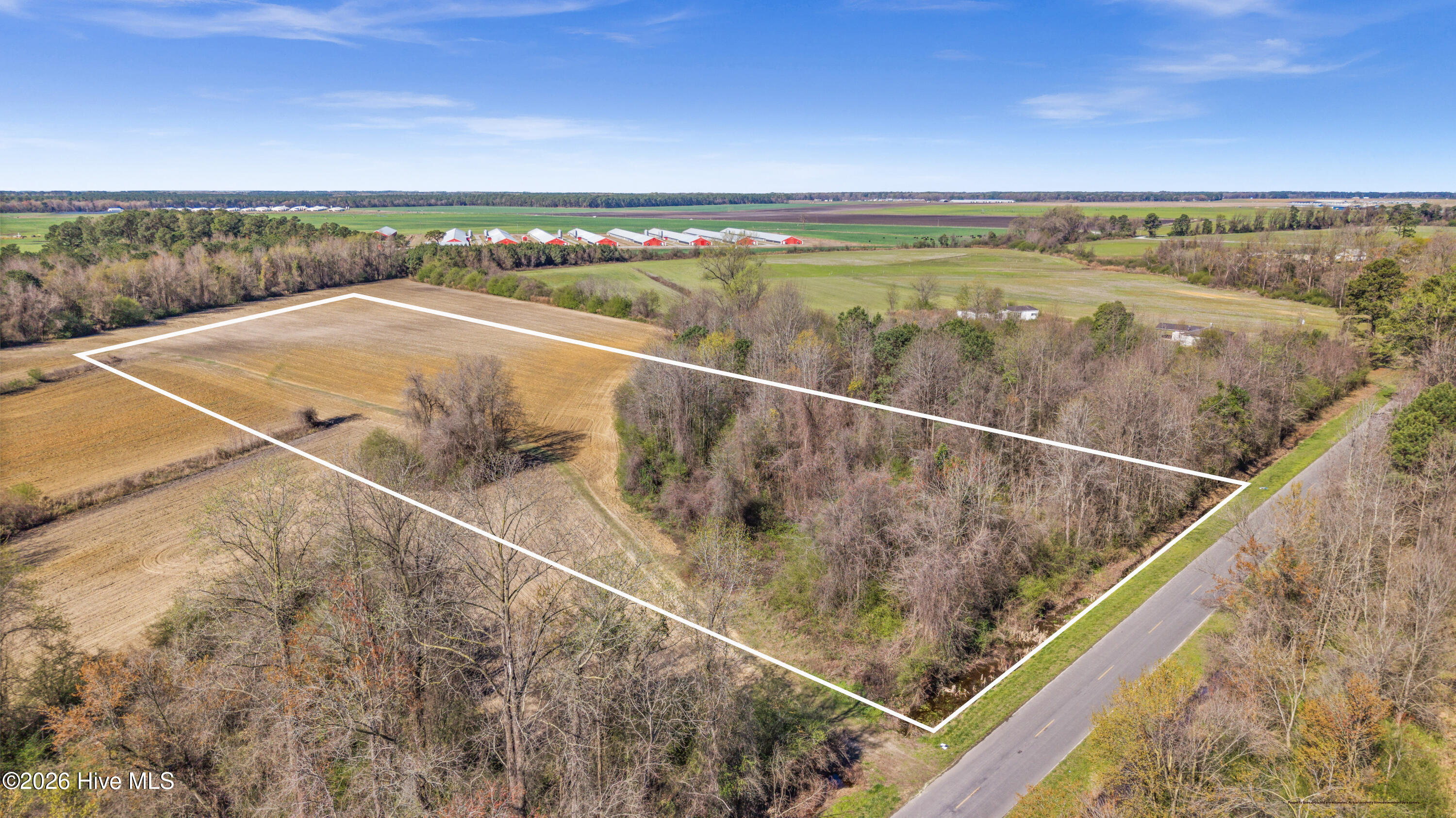 0 Graham Dobson Road Magnolia, NC 28453 - Photo 4 of 43 12-DJI_20260313111221_0096_D-Edit