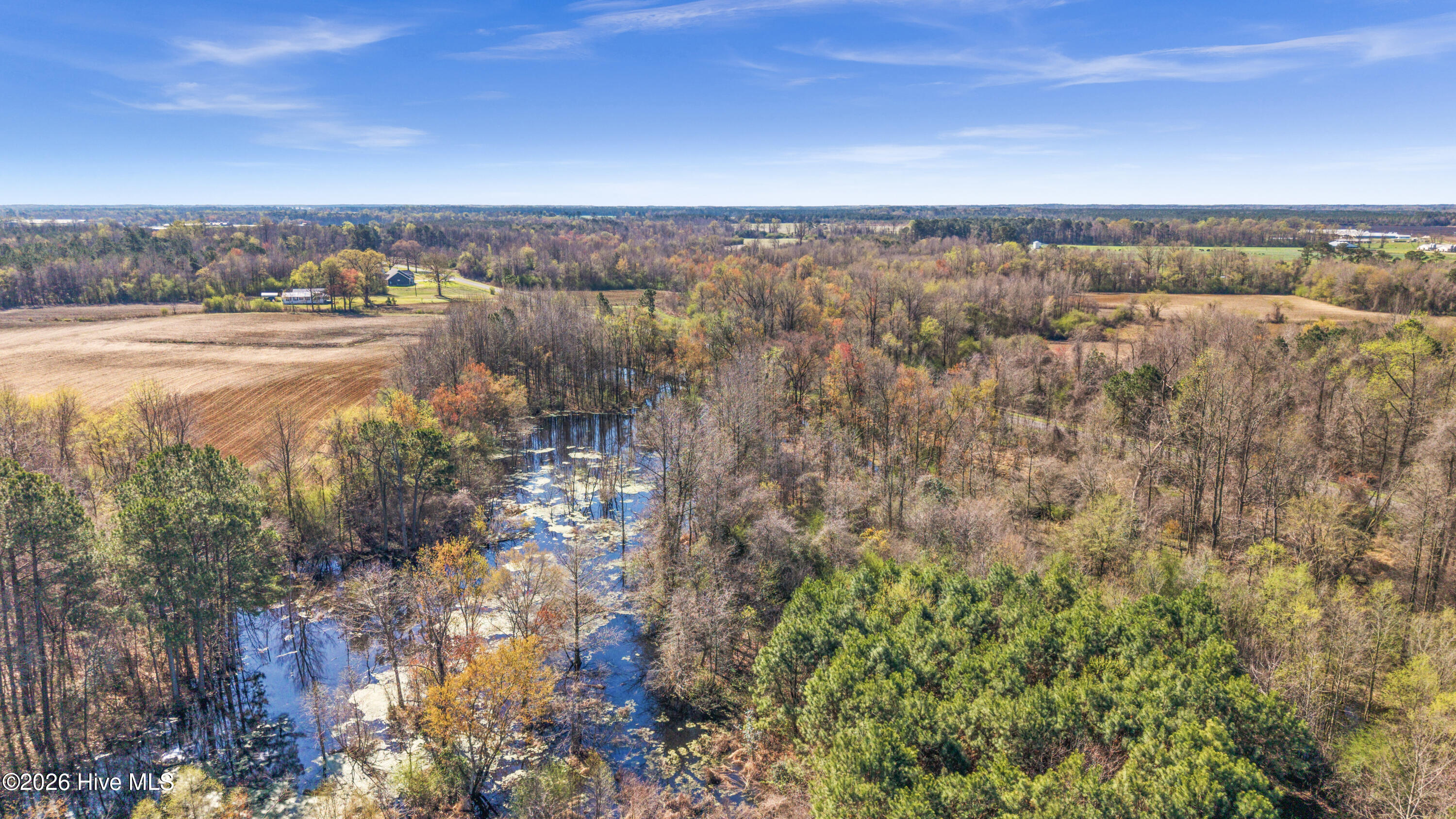 0 Graham Dobson Road Magnolia, NC 28453 - Photo 41 of 43 15-DJI_20260313110338_0072_D