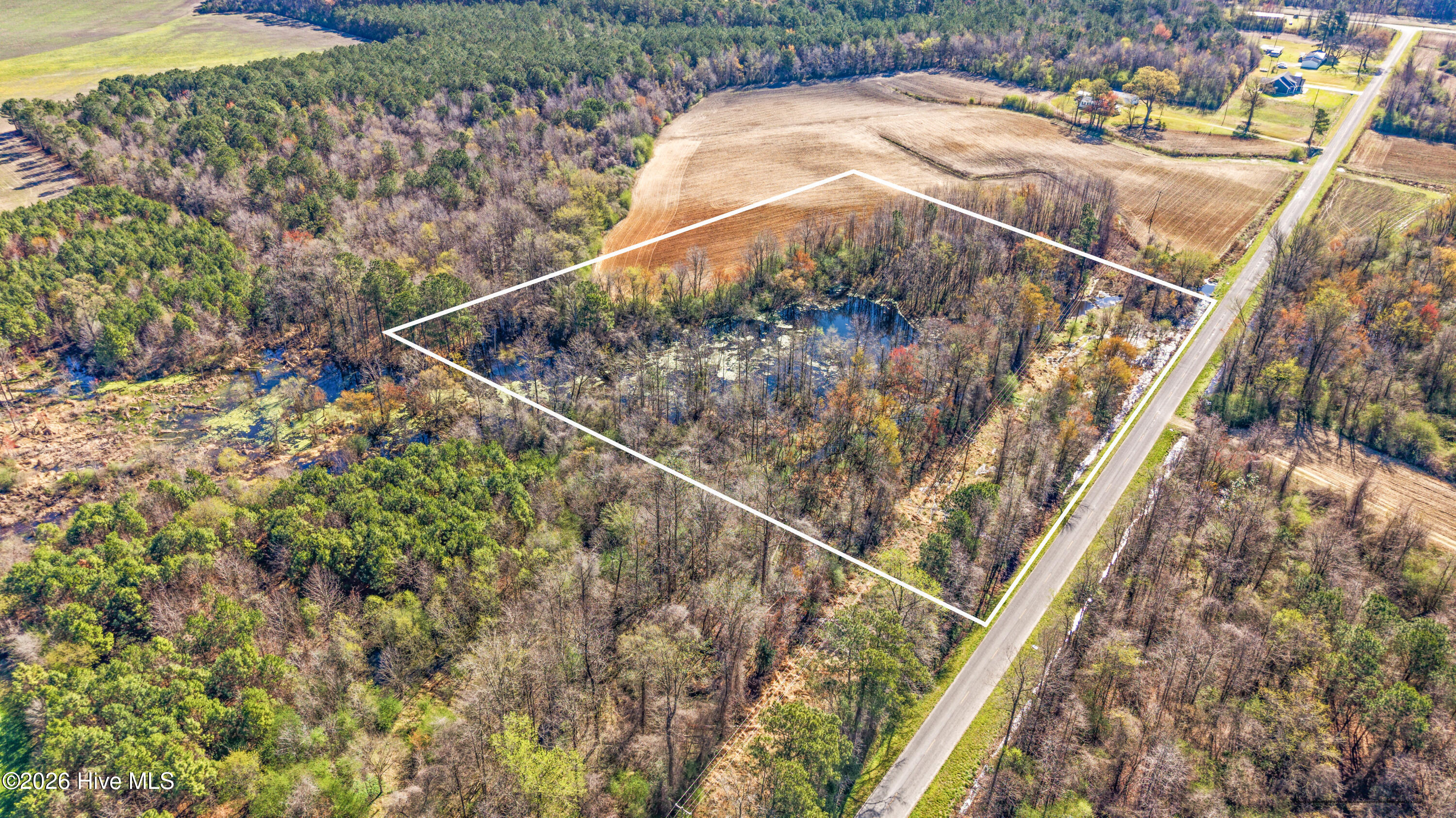 0 Graham Dobson Road Magnolia, NC 28453 - Photo 5 of 43 11-DJI_20260313110044_0063_D-Edit