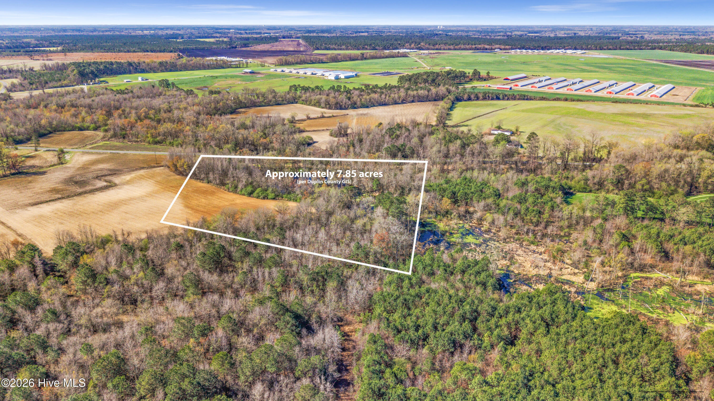 0 Graham Dobson Road Magnolia, NC 28453 - Photo 6 of 43 6-DJI_20260313105719_0054_D-Edit