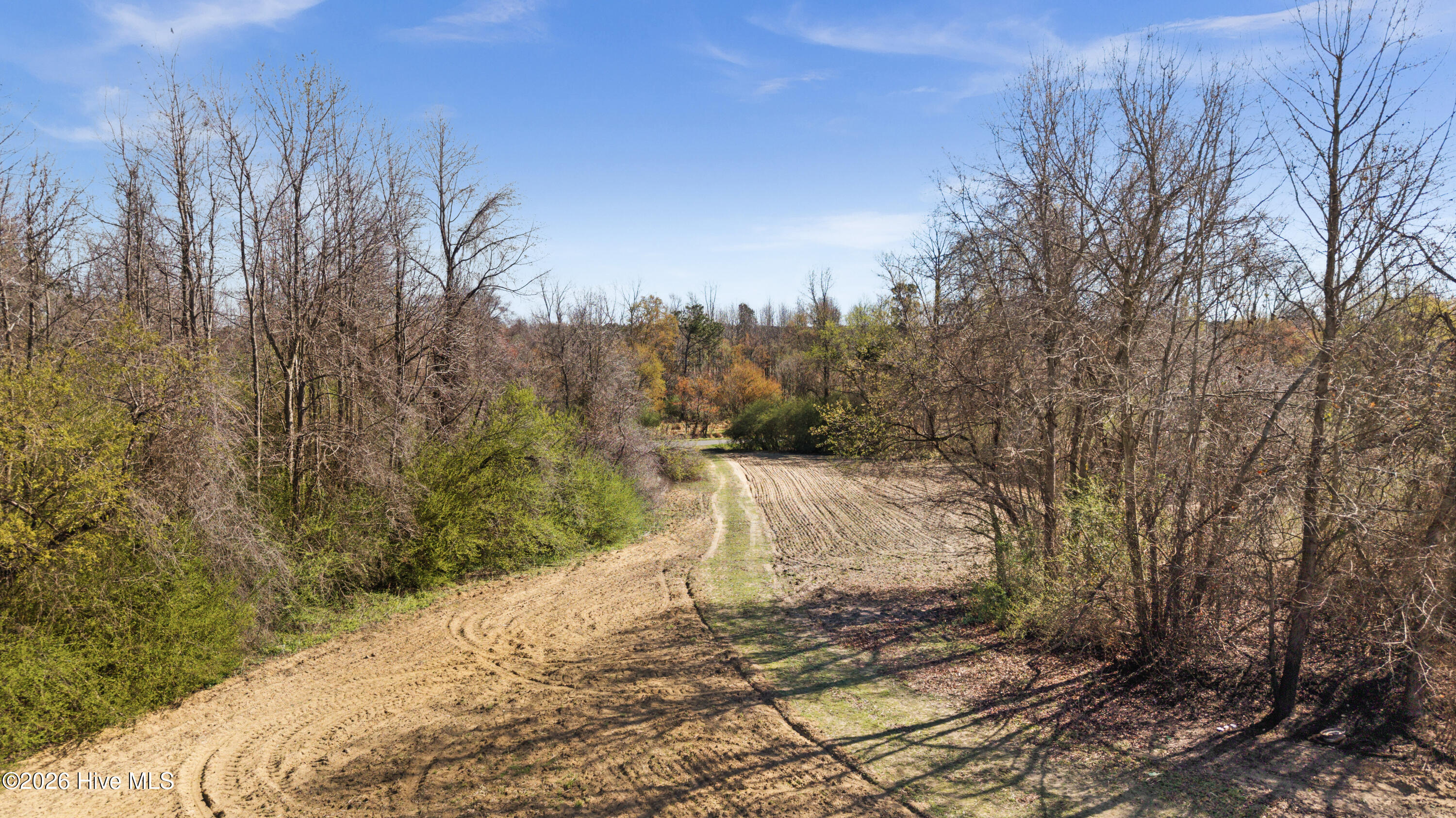 0 Graham Dobson Road Magnolia, NC 28453 - Photo 7 of 43 16-DJI_20260313111448_0108_D
