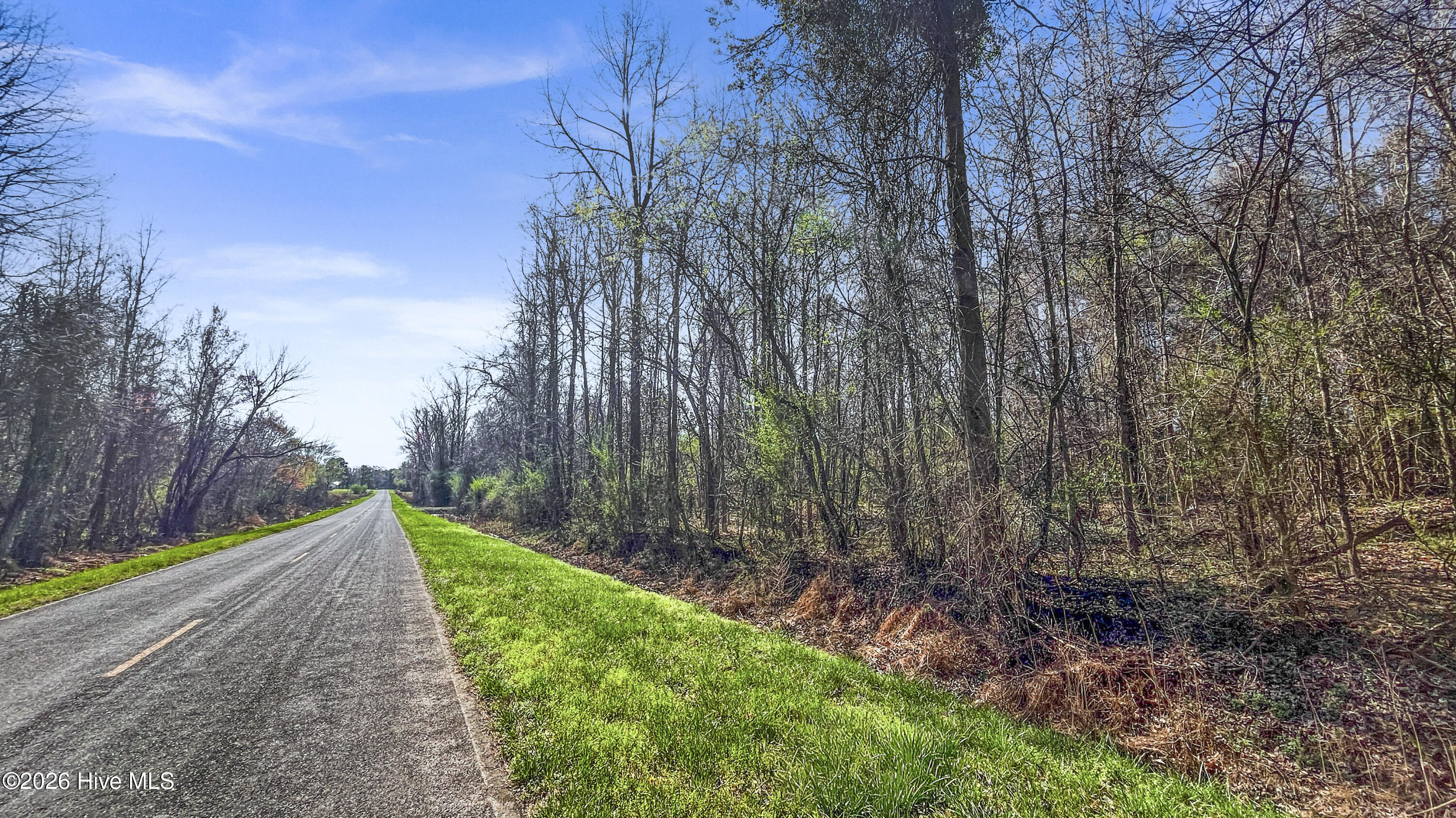 0 Graham Dobson Road Magnolia, NC 28453 - Photo 8 of 43 17-IMG_7948