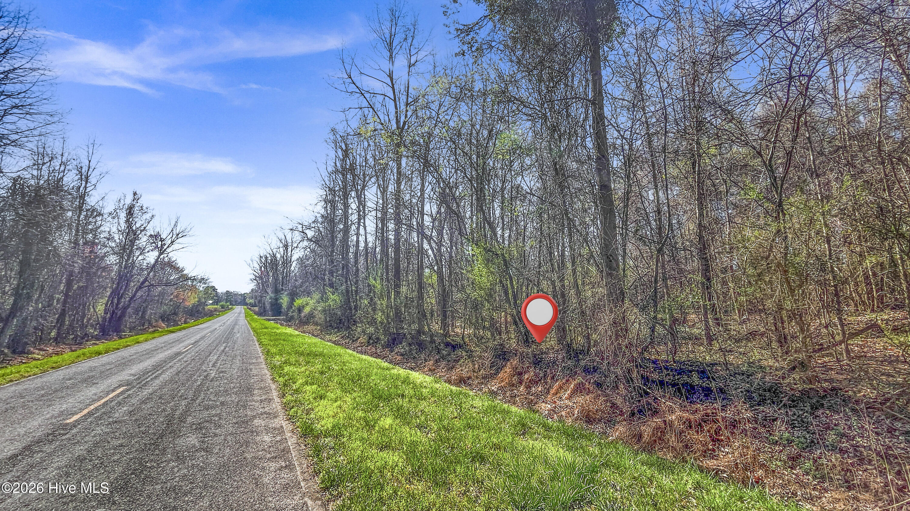 0 Graham Dobson Road Magnolia, NC 28453 - Photo 9 of 43 18-IMG_7948-Edit