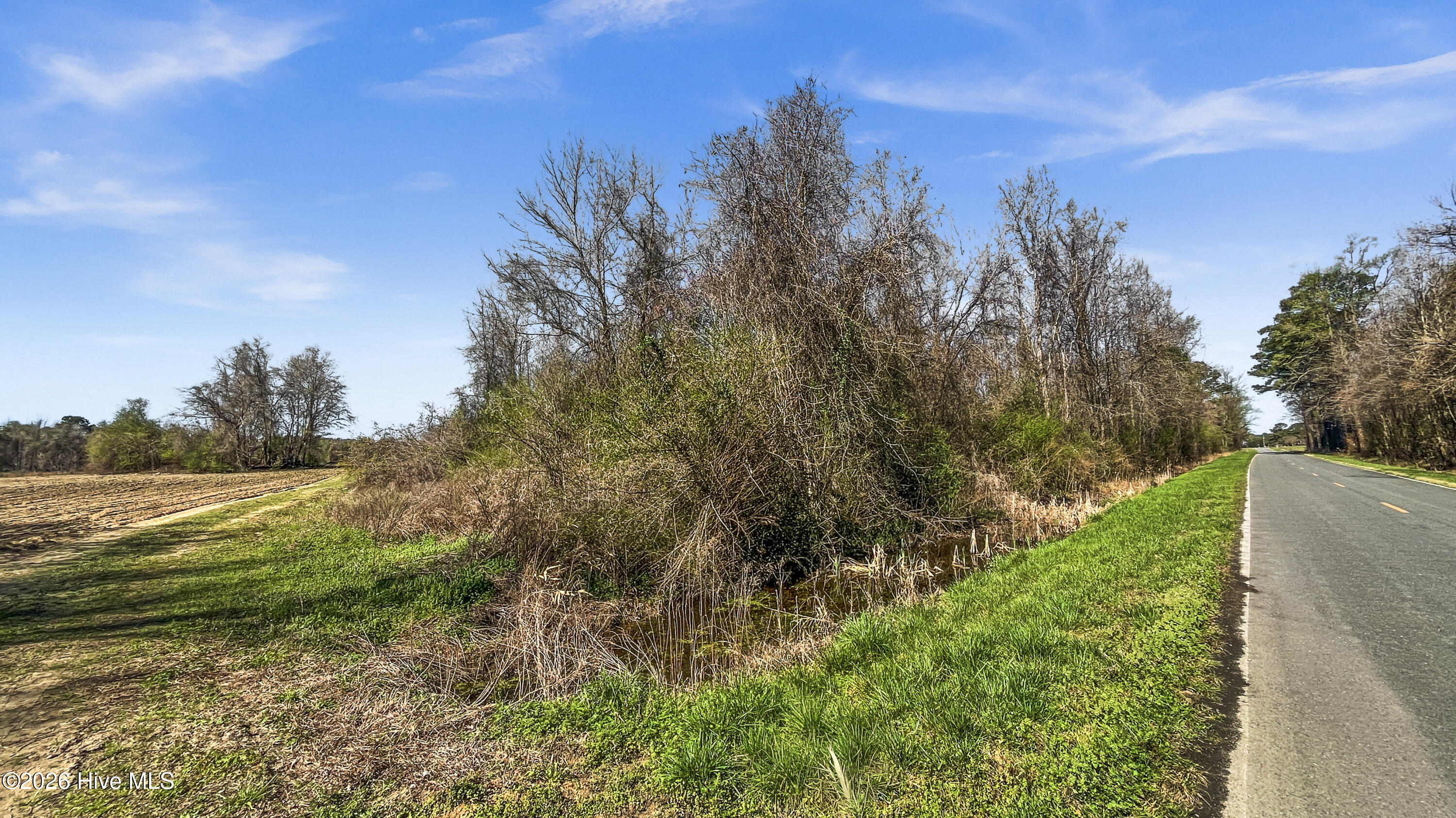 0 Graham Dobson Road Magnolia, NC 28453 - Photo 10 of 43 19-IMG_7949