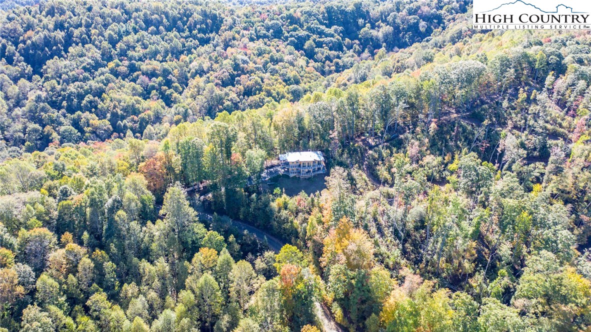 895 Little Windfall Road Lansing, NC 28643 - Photo 3 of 50
