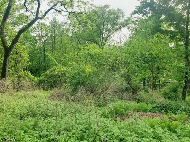 $49,900 | 0 Beavers Street, High Bridge, NJ 08829