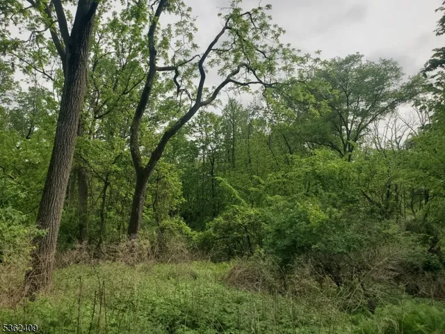 $49,900 | 0 Beavers Street, High Bridge, NJ 08829