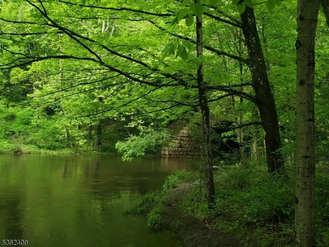 $49,900 | 0 Beavers Street, High Bridge, NJ 08829